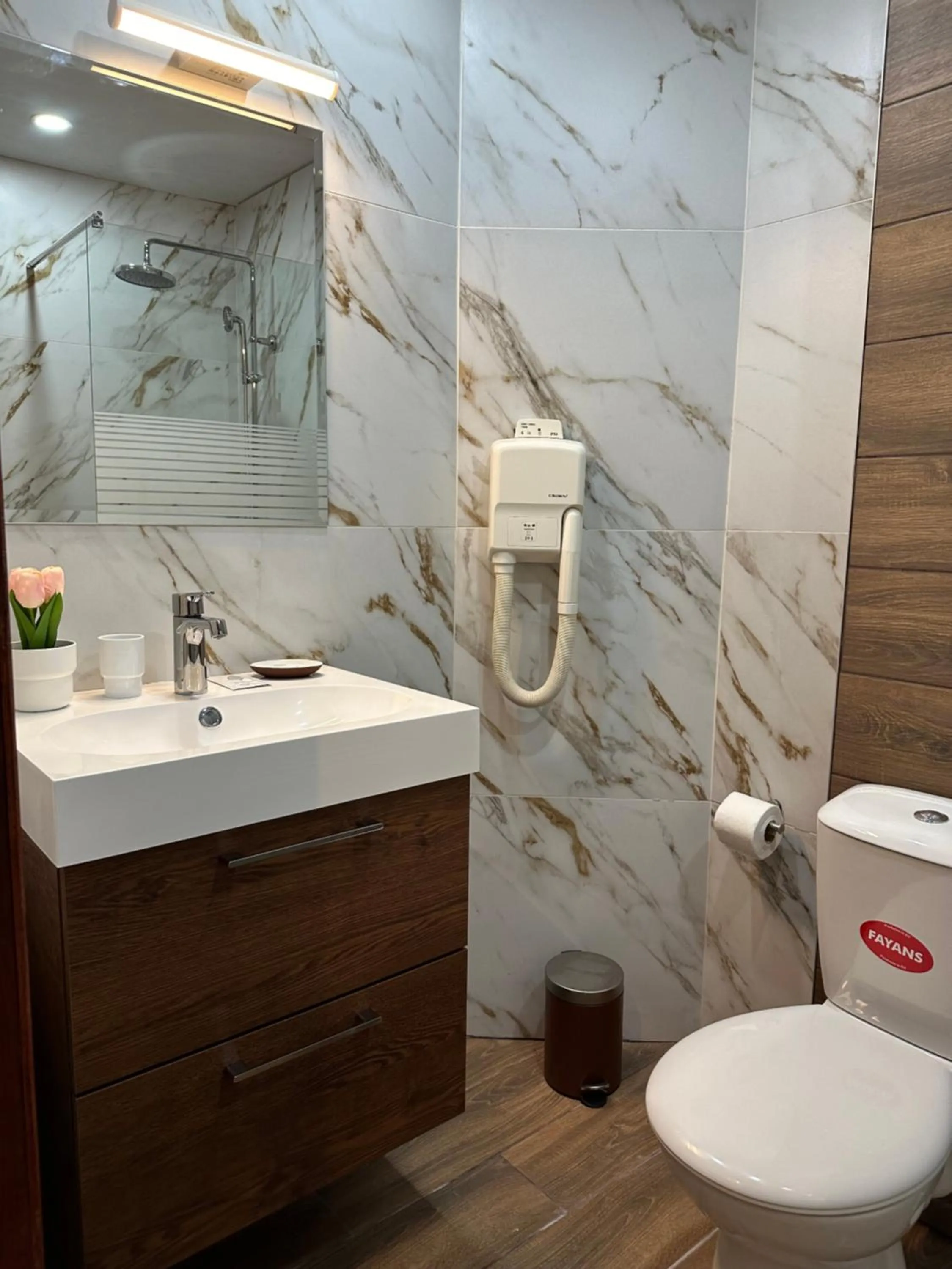 Bathroom in Hotel Art