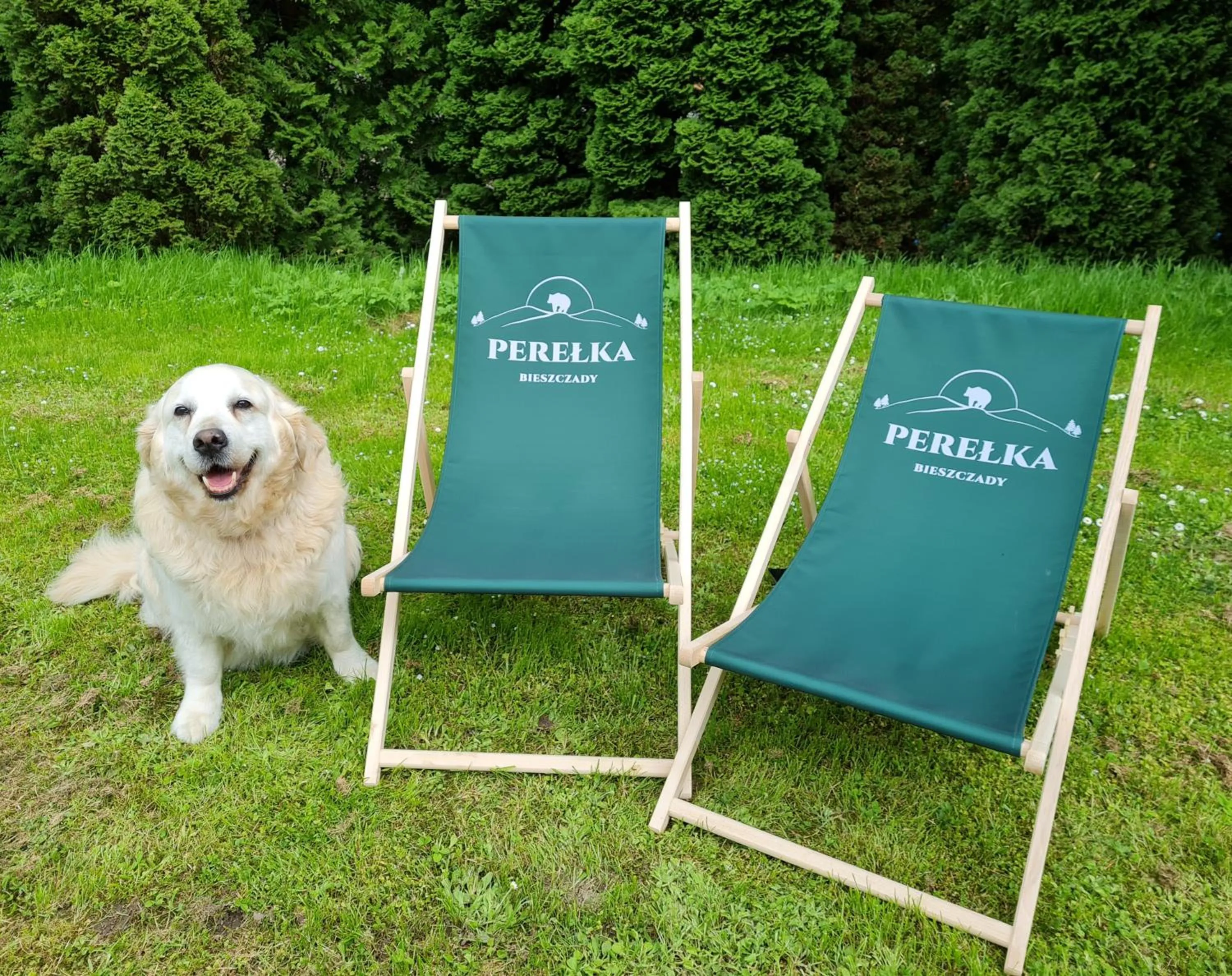 Pets in Ośrodek Perełka Bieszczady