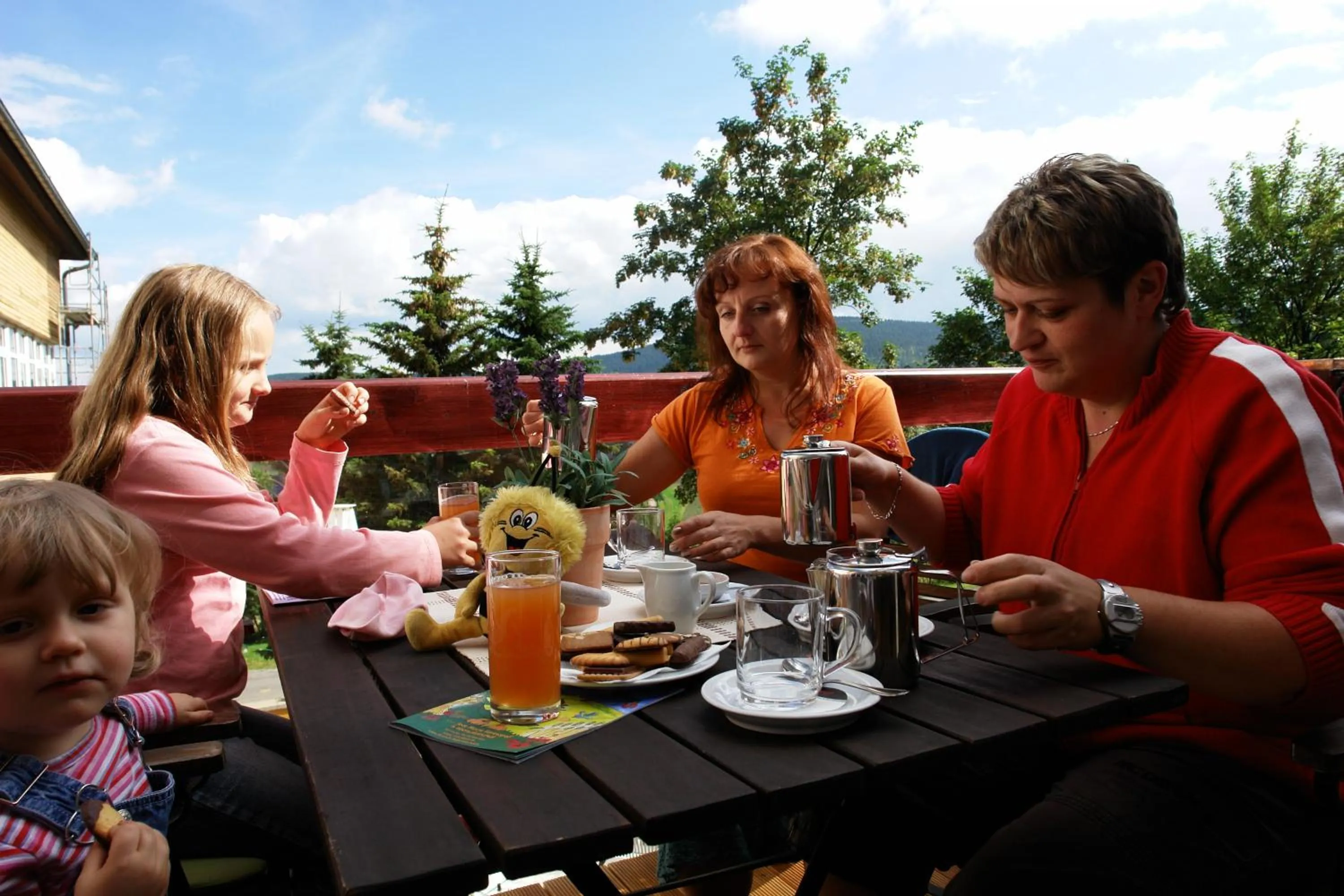 Balcony/Terrace in Panorama Hotel Oberwiesenthal