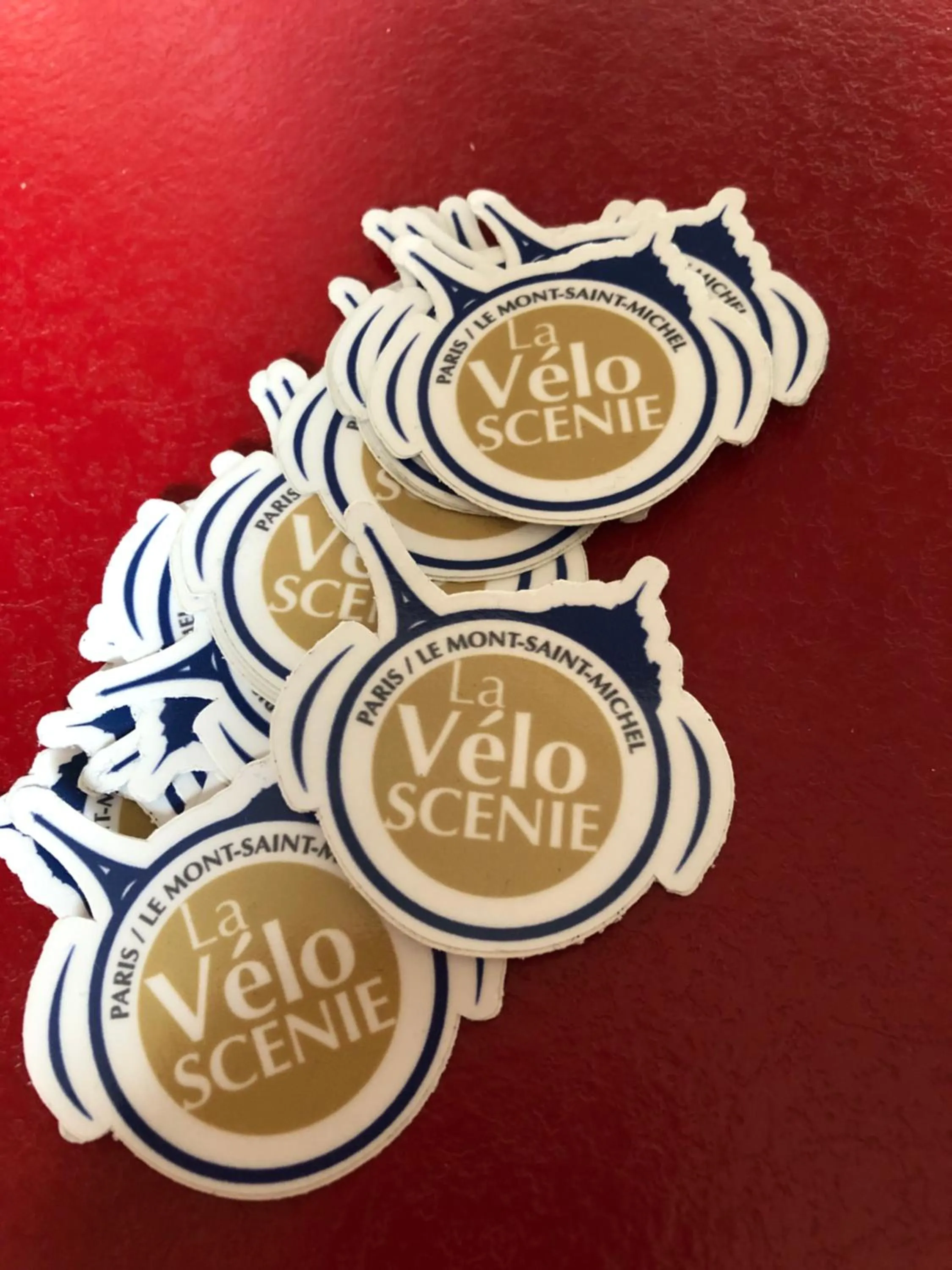 Logo/Certificate/Sign in Chambre-studio Le 42