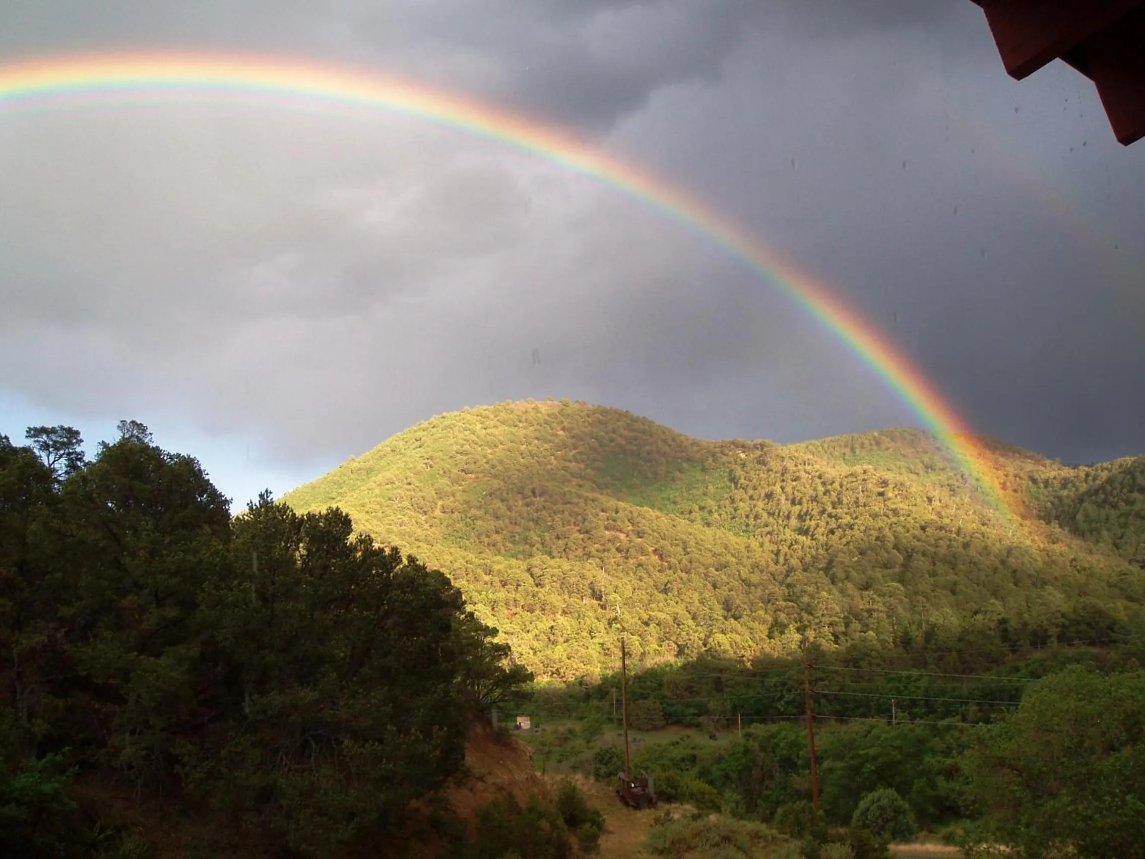 Natural landscape in Cloudcroft Hostel