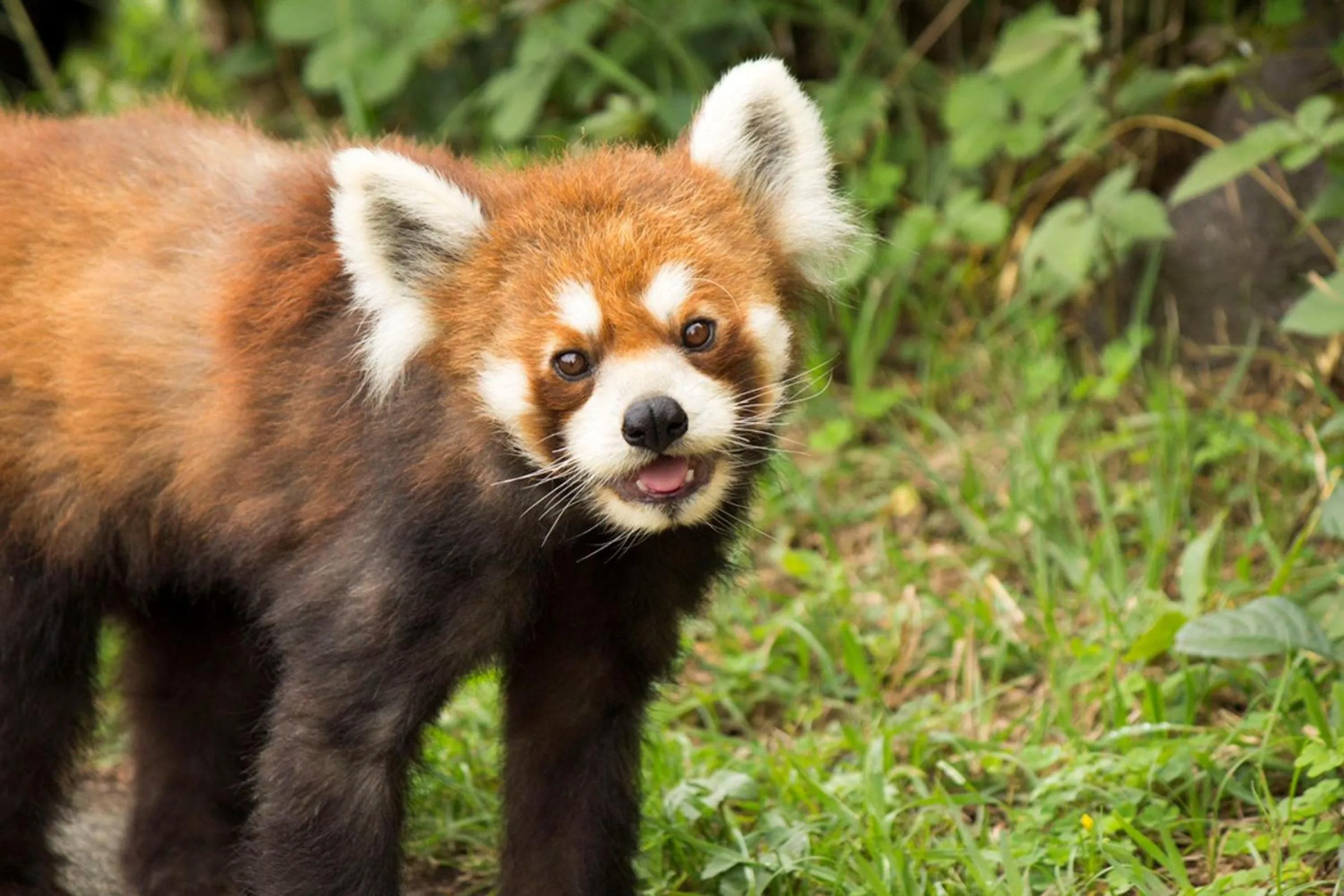 Nearby landmark in REF Omiya by VESSEL HOTELS