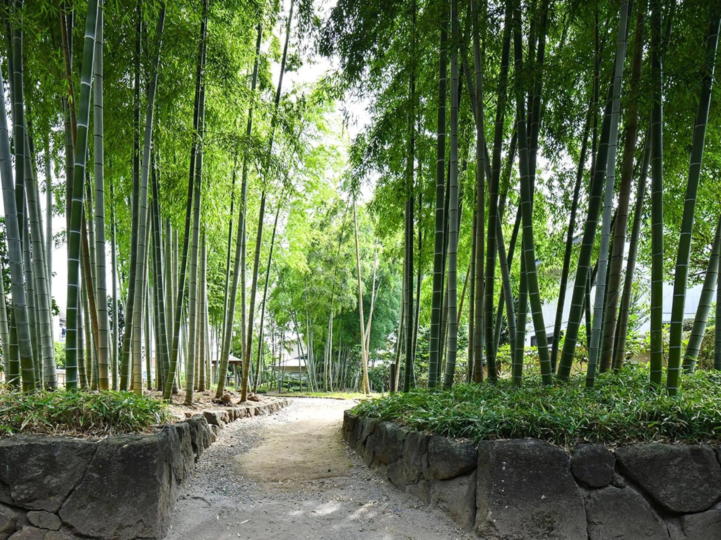 Nearby landmark in REF Omiya by VESSEL HOTELS