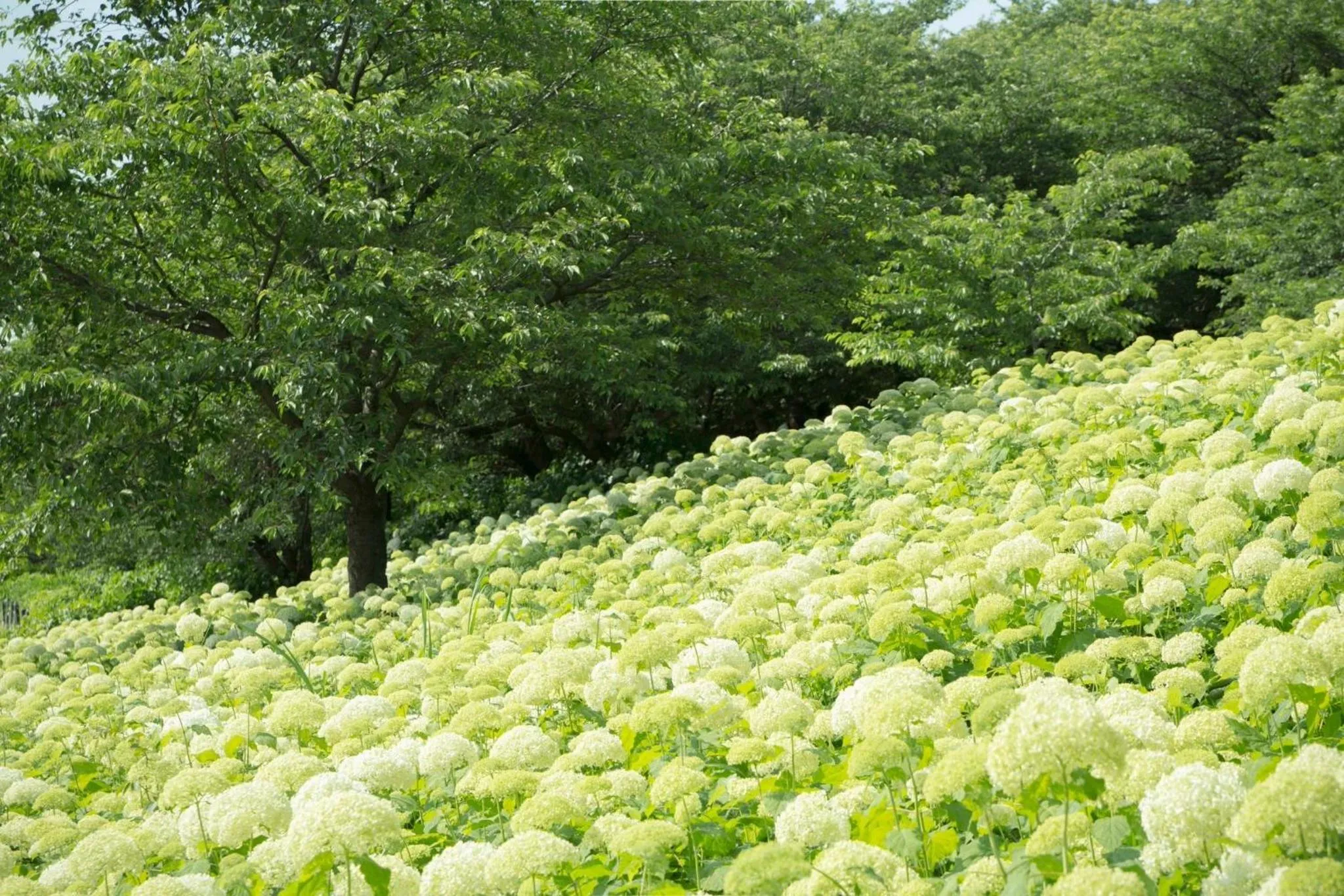 Nearby landmark in REF Omiya by VESSEL HOTELS