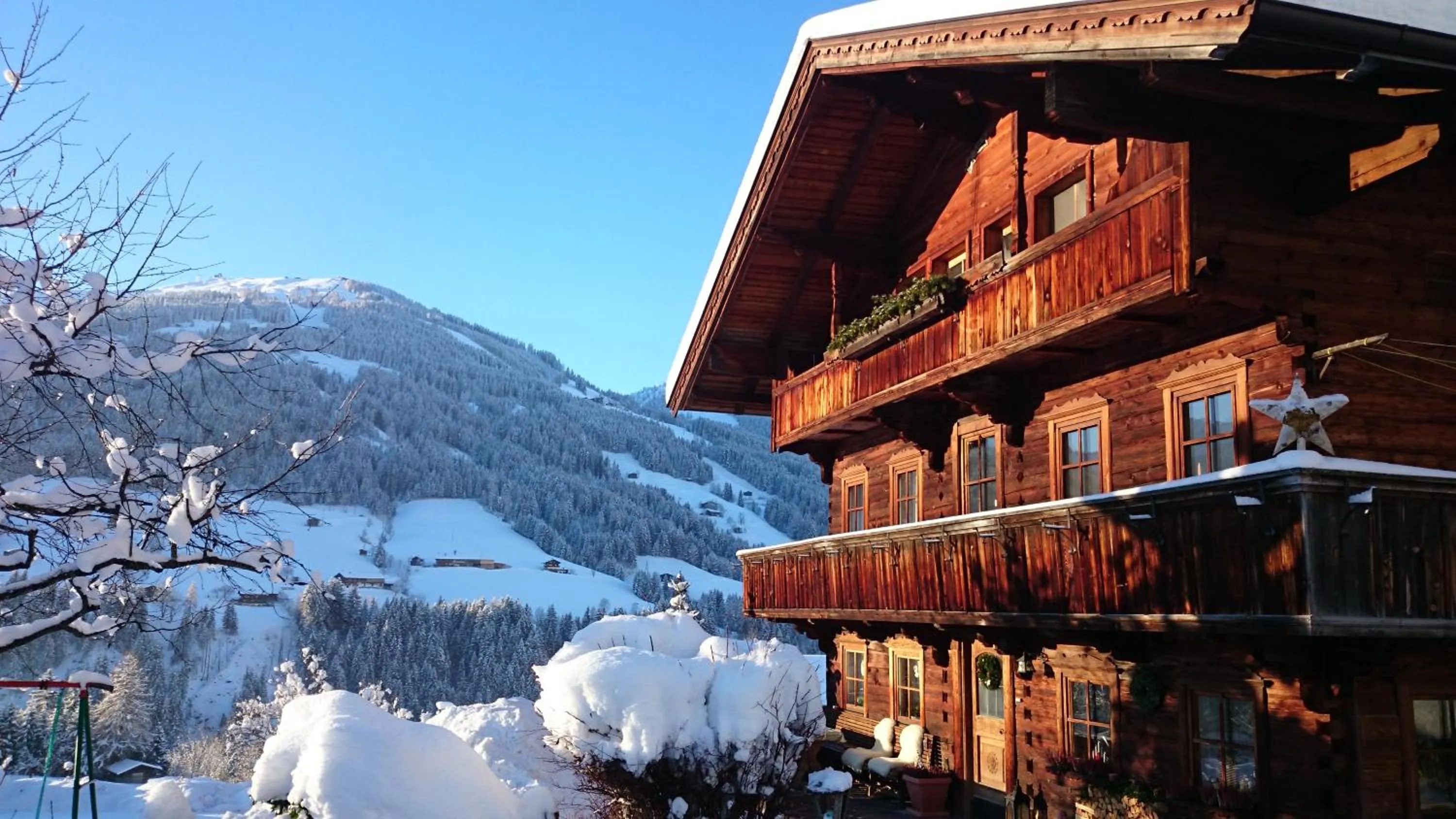 Fürstenhäusl Alpbach - GREEN Apartments & Studio