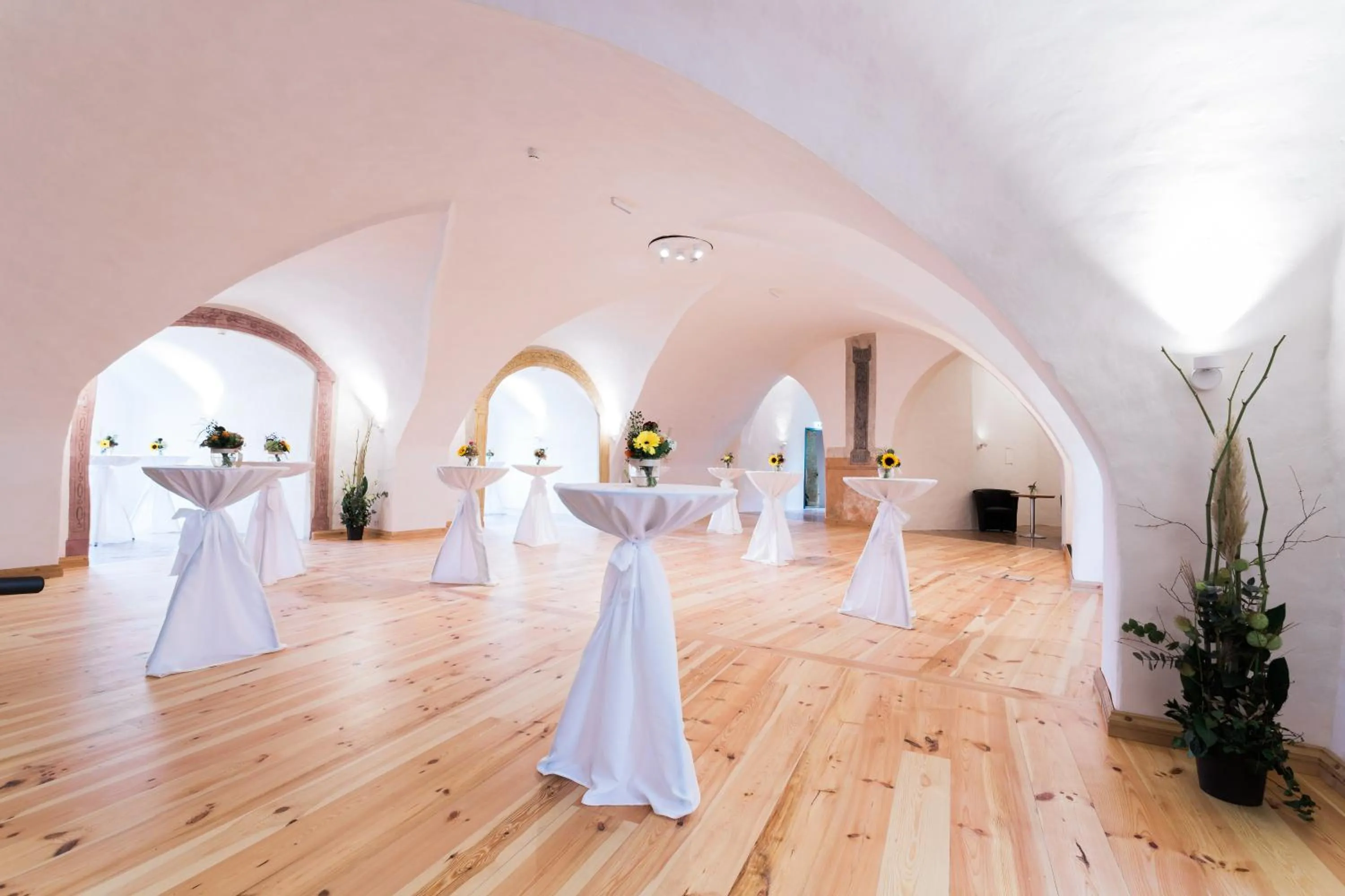 Banquet/Function facilities in Burghotel Schlaining