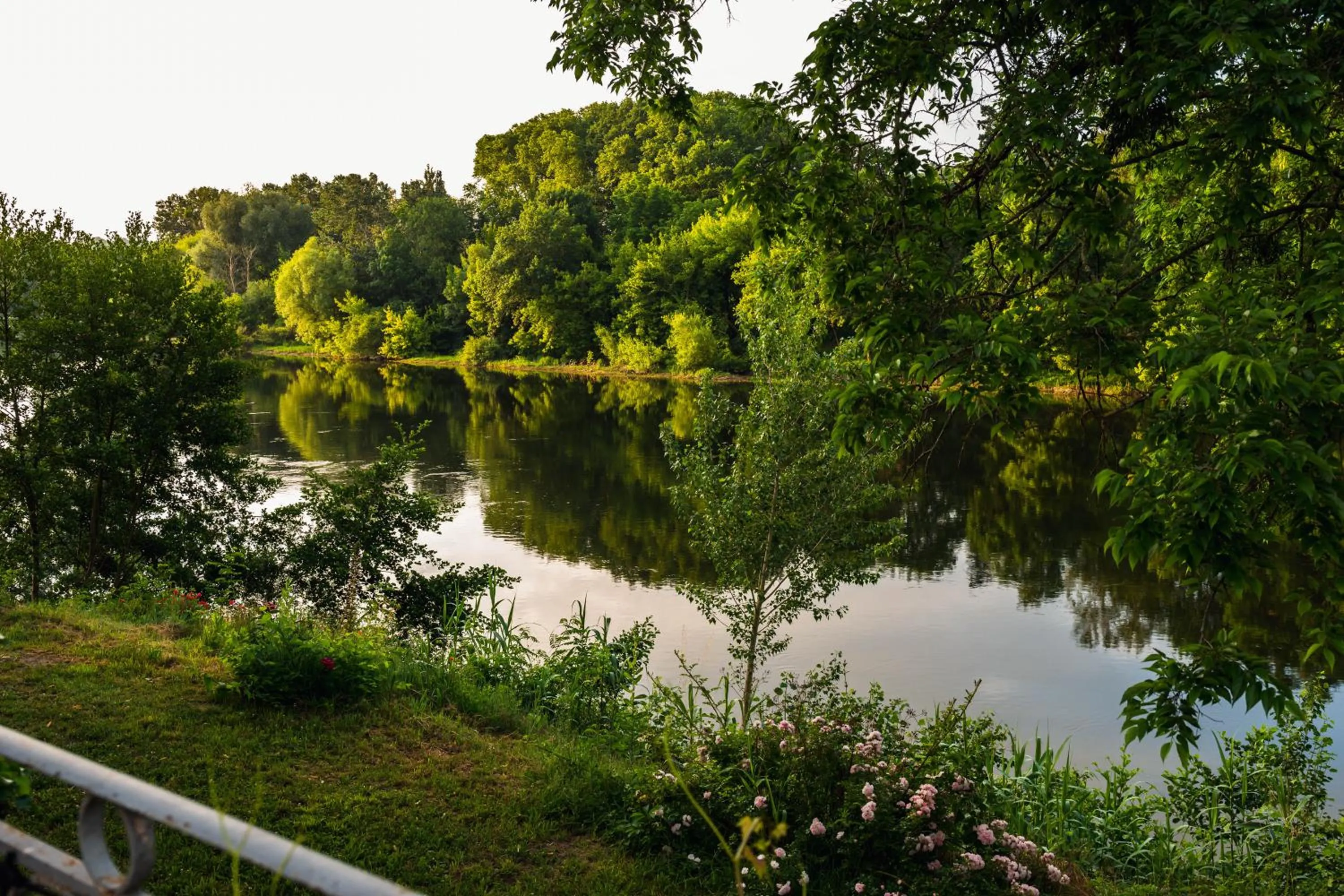 View (from property/room) in Château Destinée