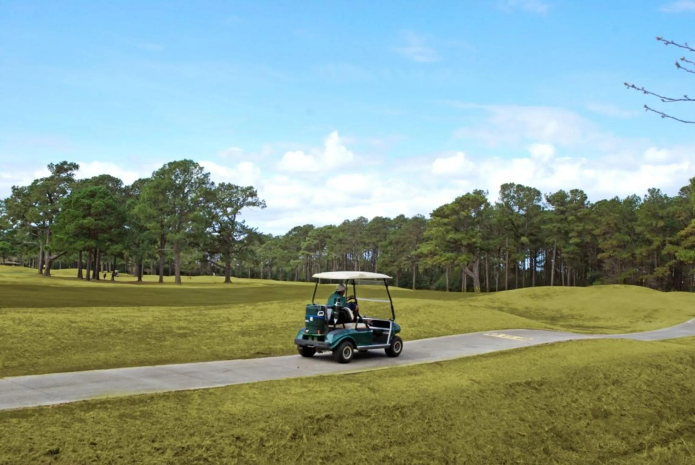 Golfcourse in Magnolia Place by Palmetto Vacations