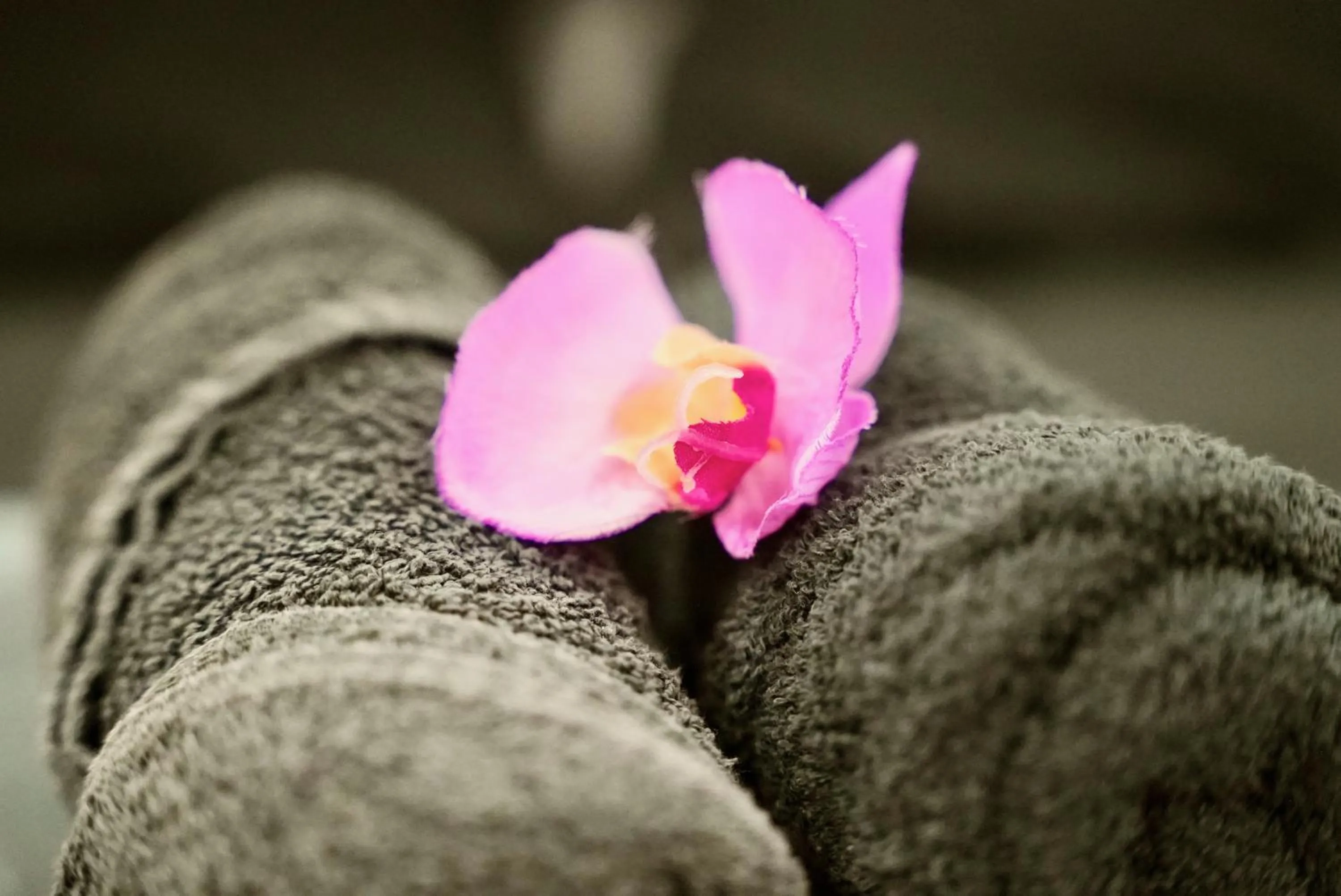 Mas La Farelle Gîte, Fitness & Salle de jeux gratuite & SPA en supplément