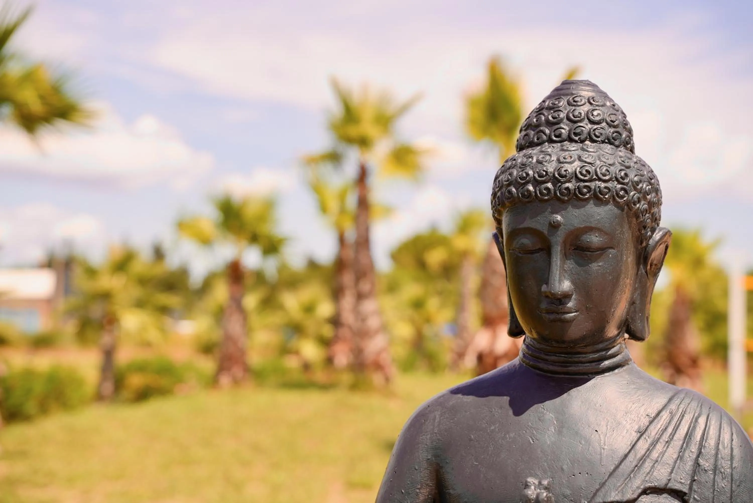 Mas La Farelle Gîte, Fitness & Salle de jeux gratuite & SPA en supplément