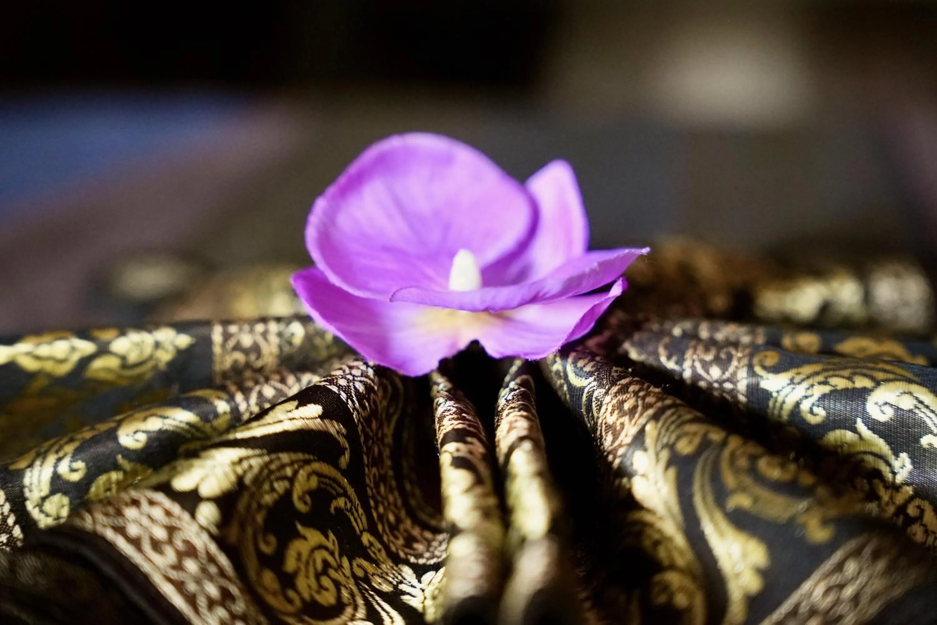 Mas La Farelle Gîte, Fitness & Salle de jeux gratuite & SPA en supplément