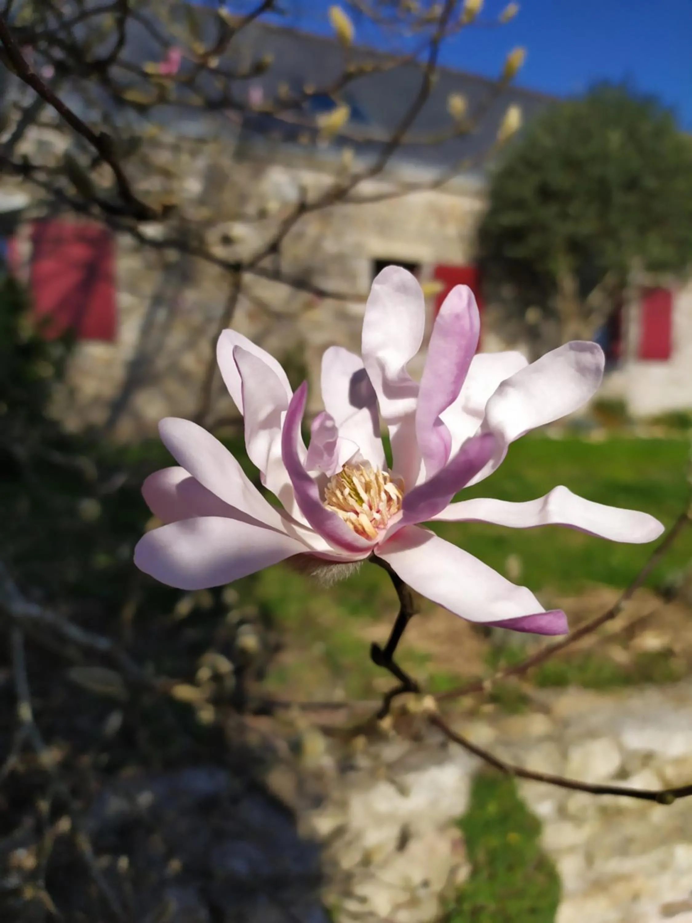 Spring in La Bisquine