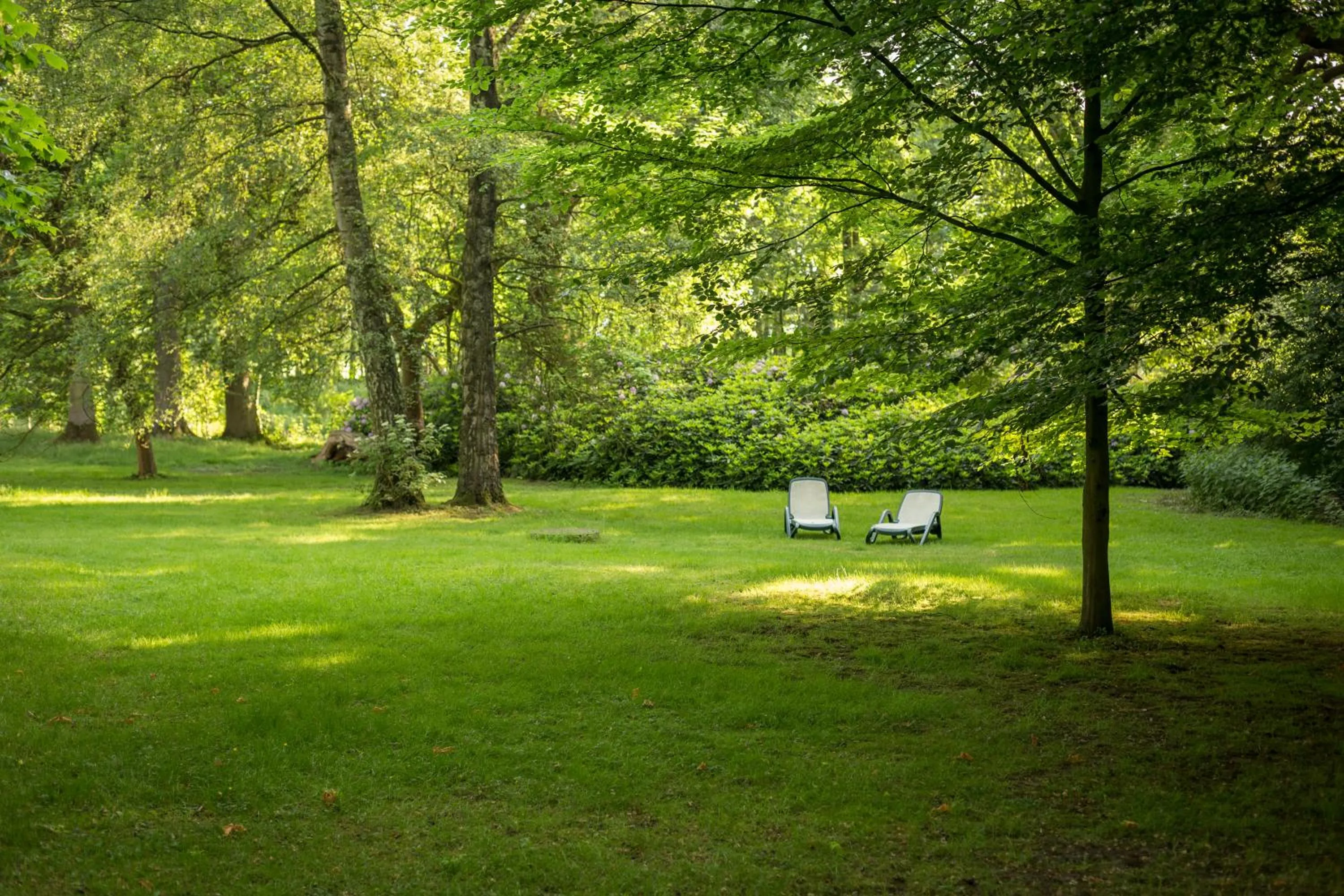 Garden in Parkhotel Hohenfeld Münster