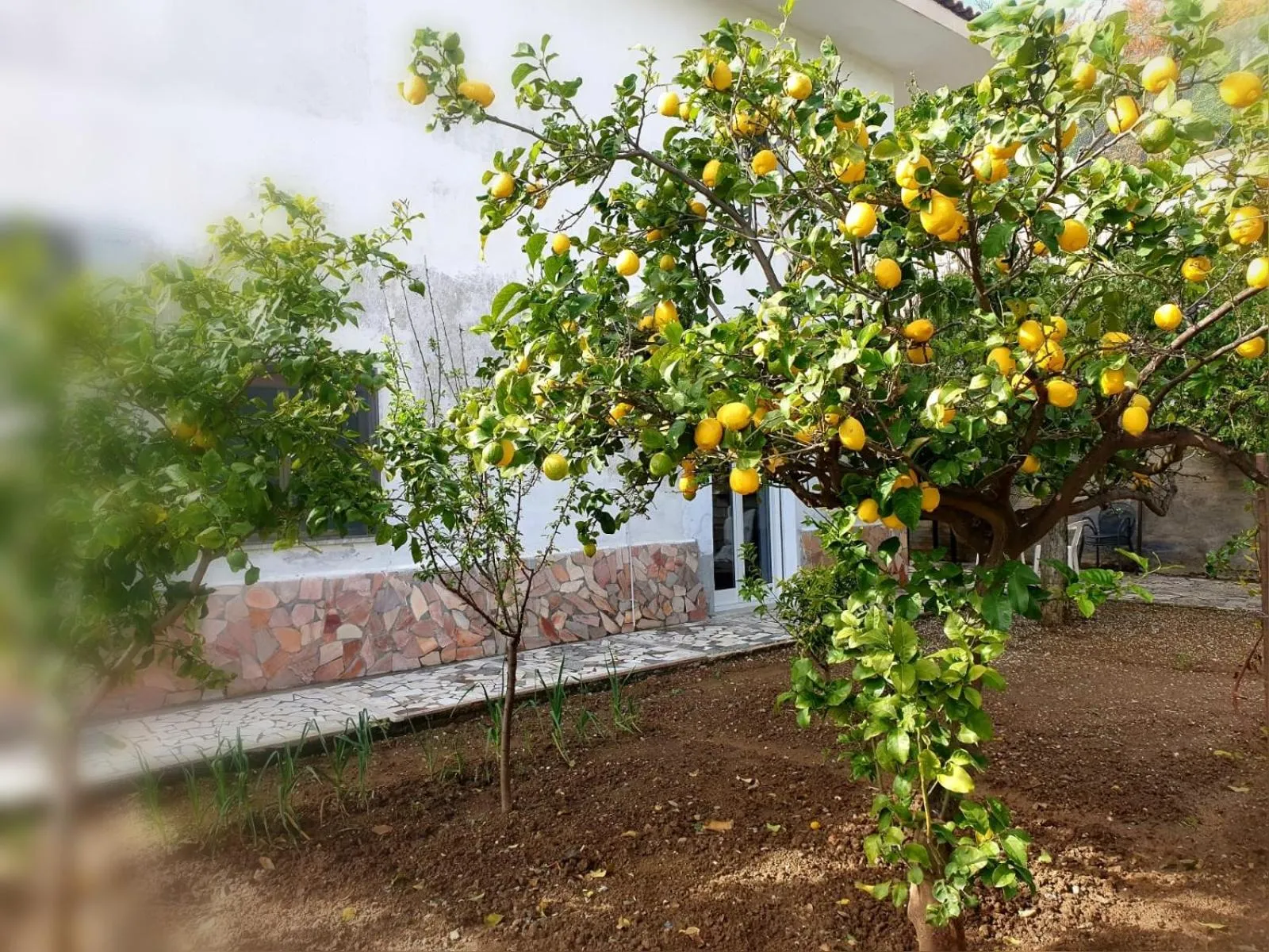 Property building in B&B Collemare