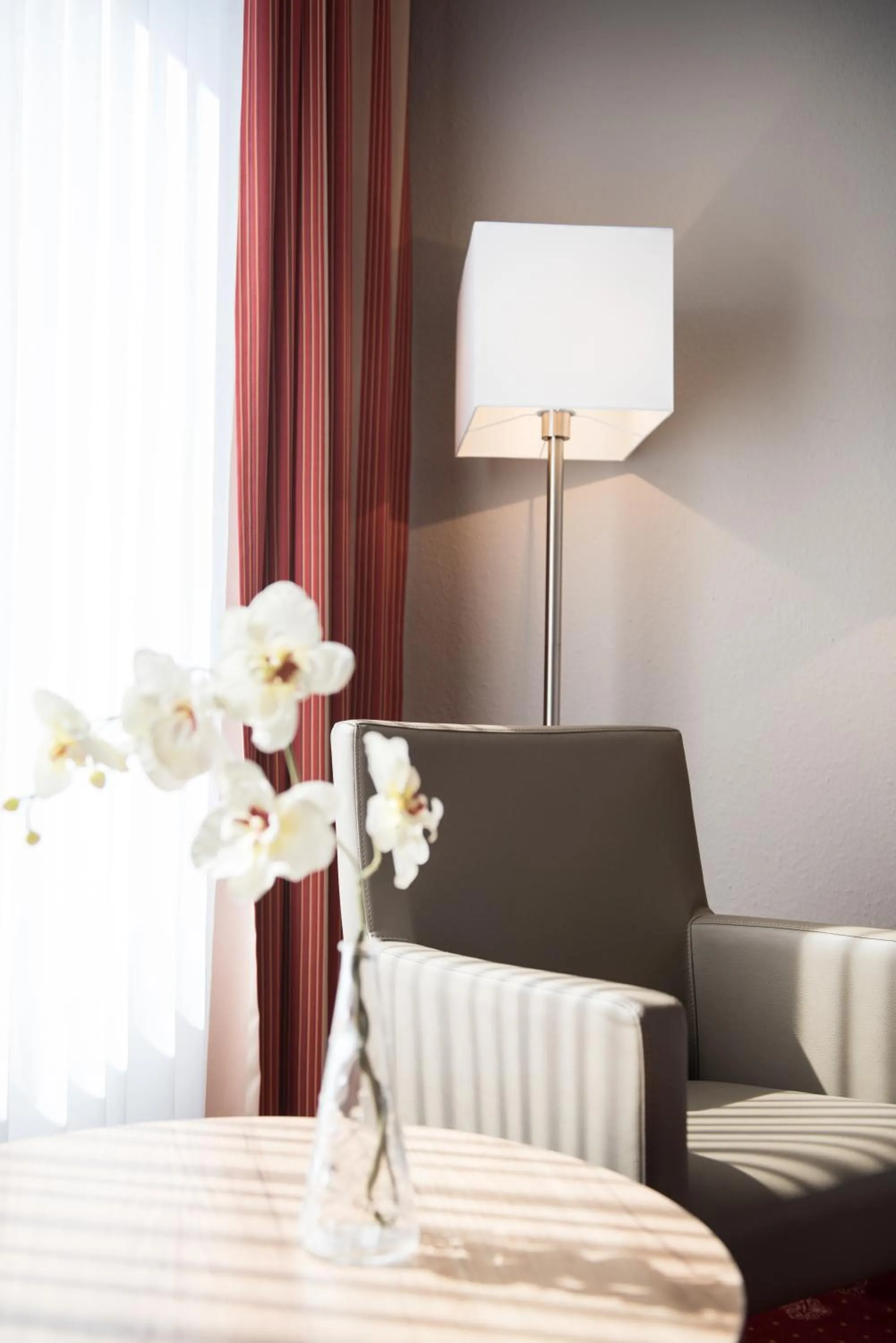 Photo of the whole room in Hotel Novostar