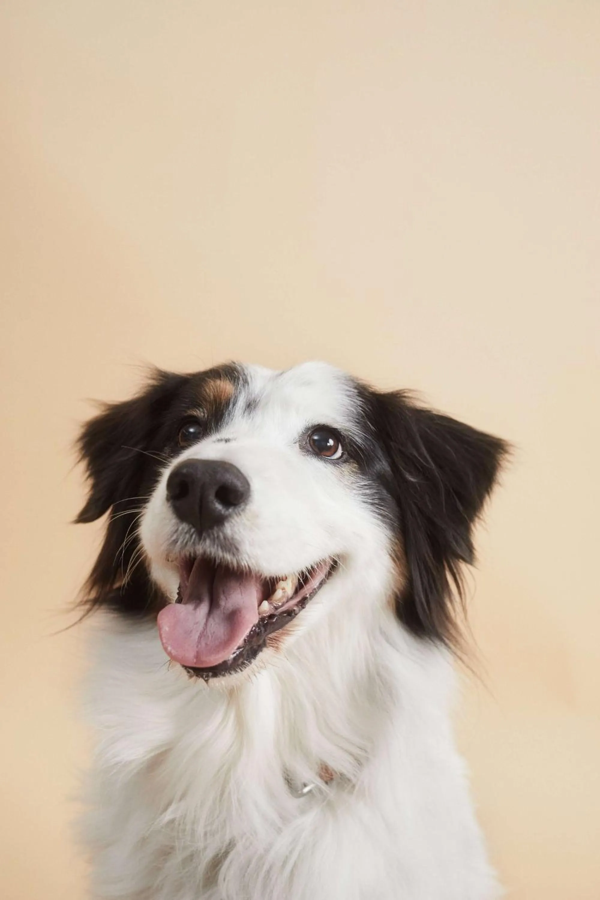 Nearby landmark in Hotel Münster Kongresscenter affiliated by Meliá