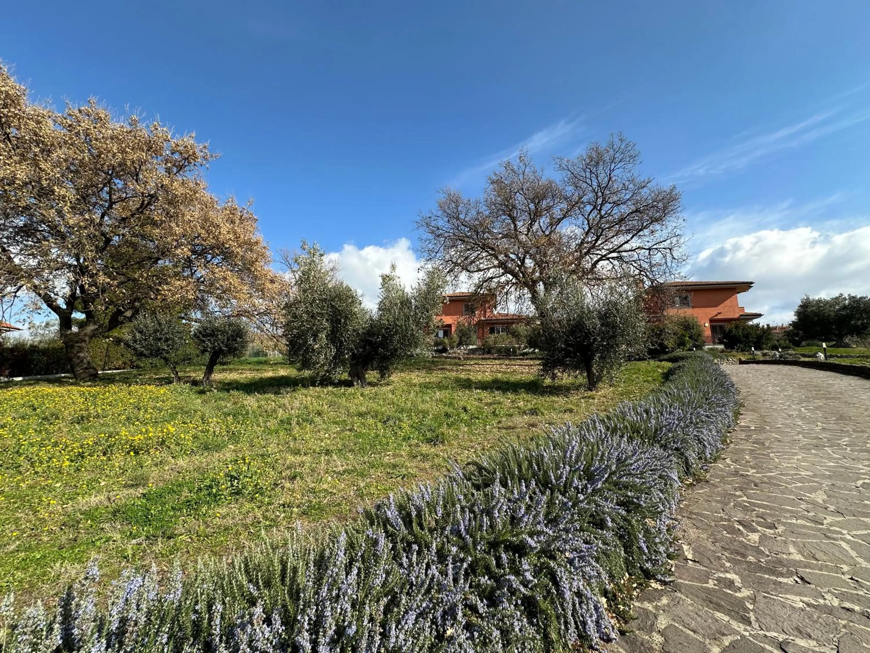 Garden view in B&B Bee