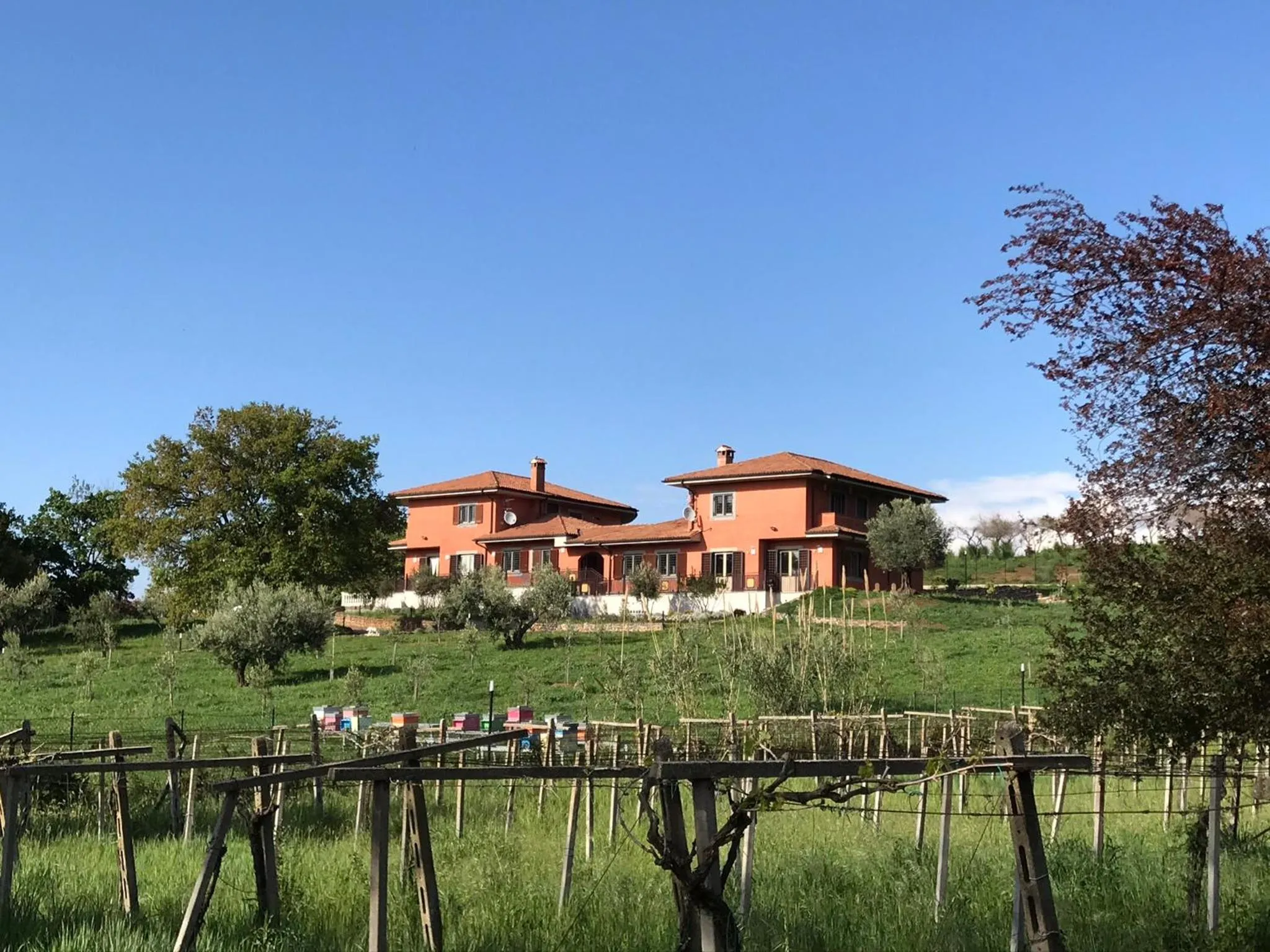 Property building in B&B Bee