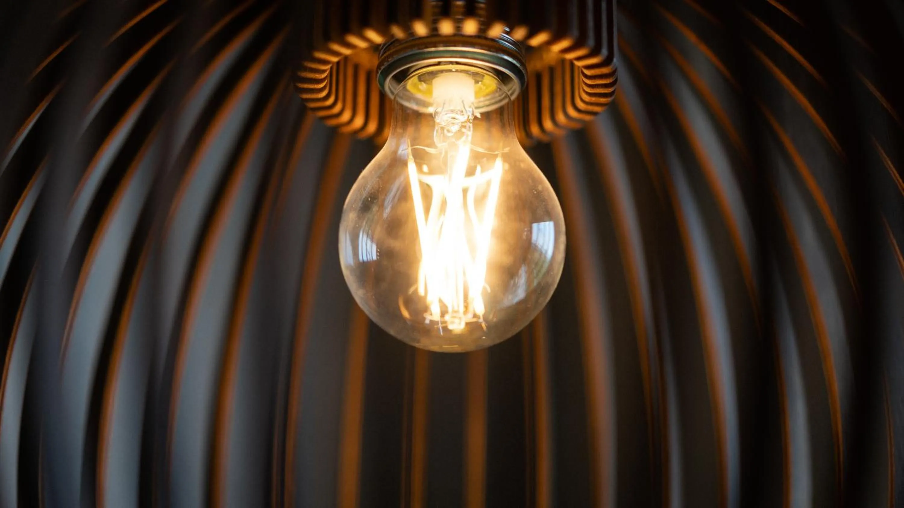 Photo of the whole room in das flax allgäu