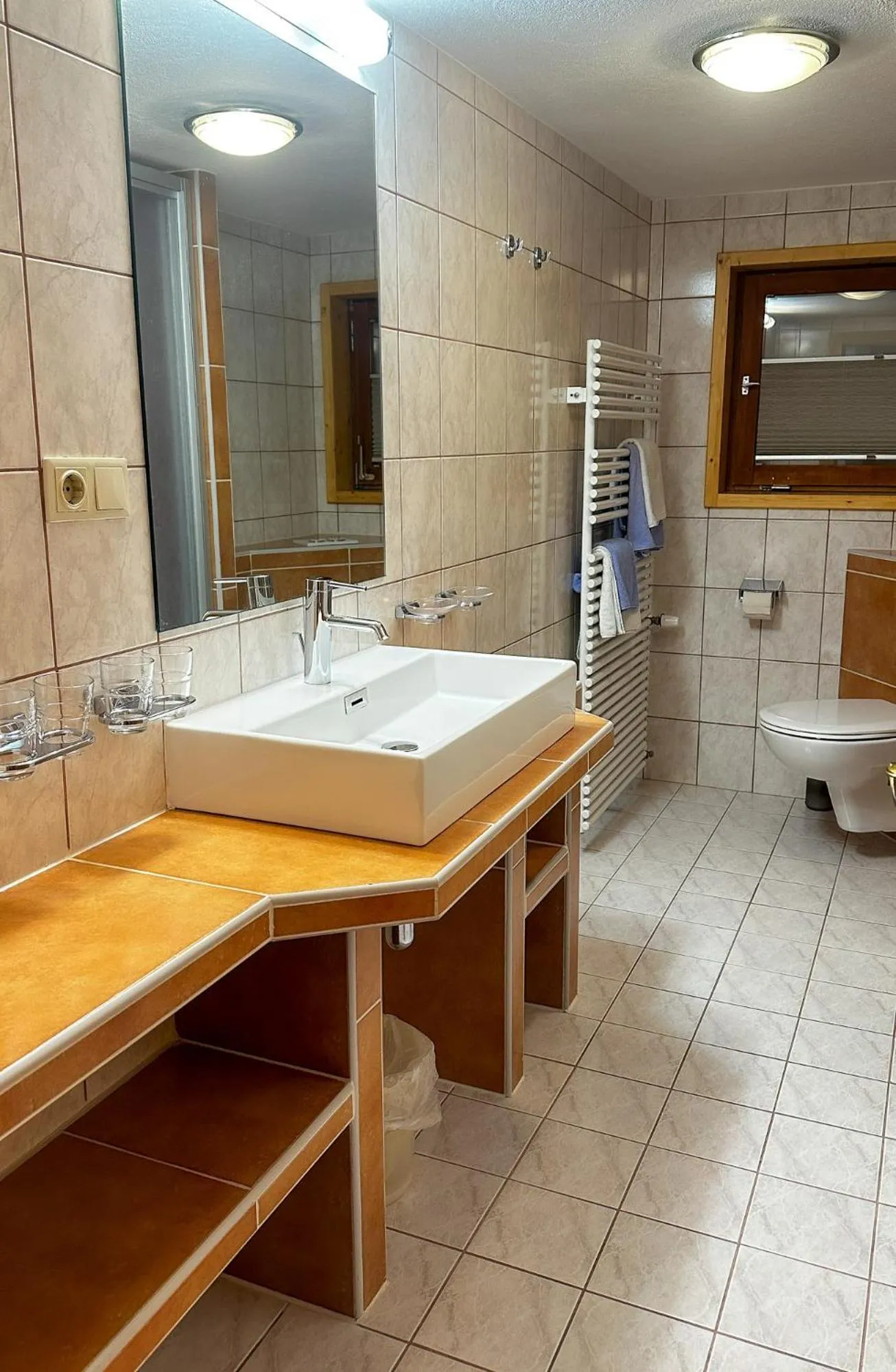 Shower in Alte Schmiede