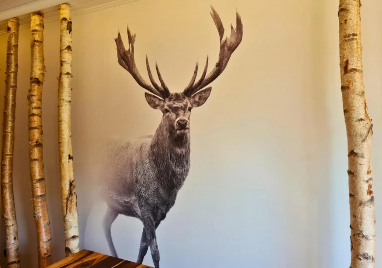 Decorative detail in Hotel Harzresidenz