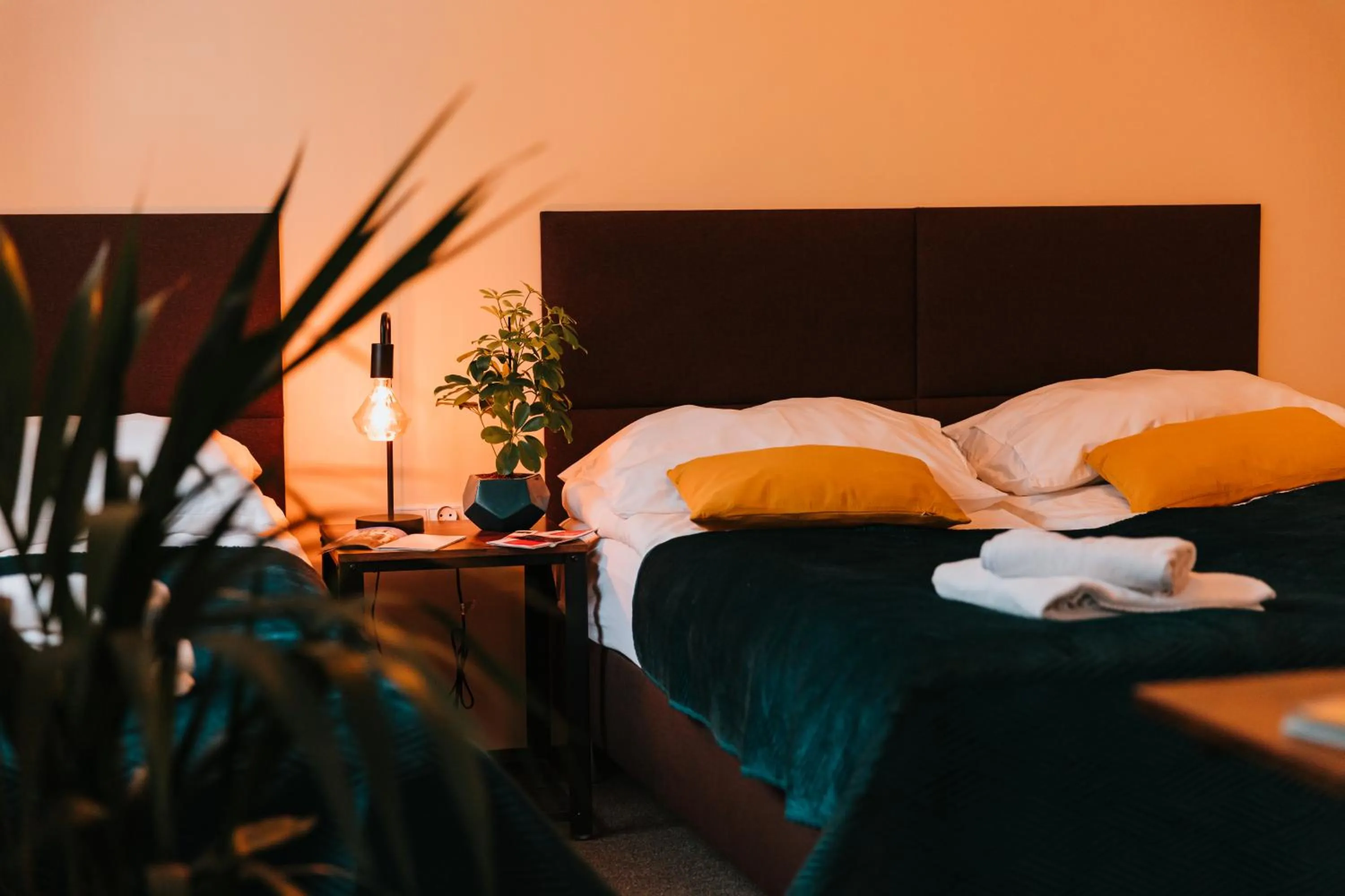 Photo of the whole room, Bed in Kamieniczka Palladium