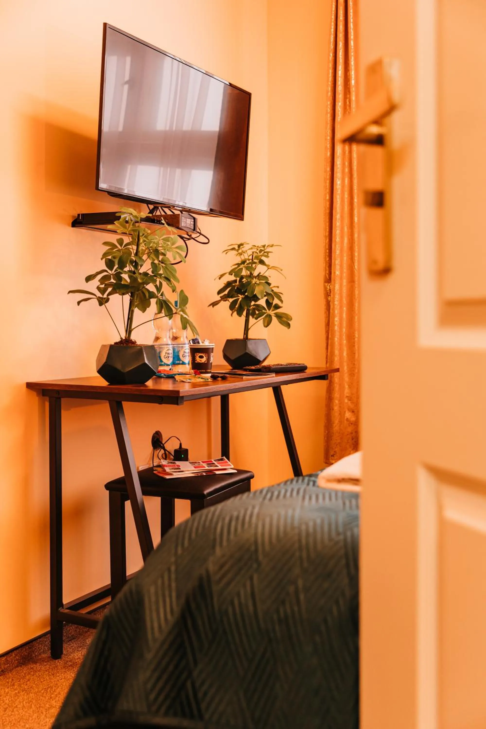 TV and multimedia in Kamieniczka Palladium