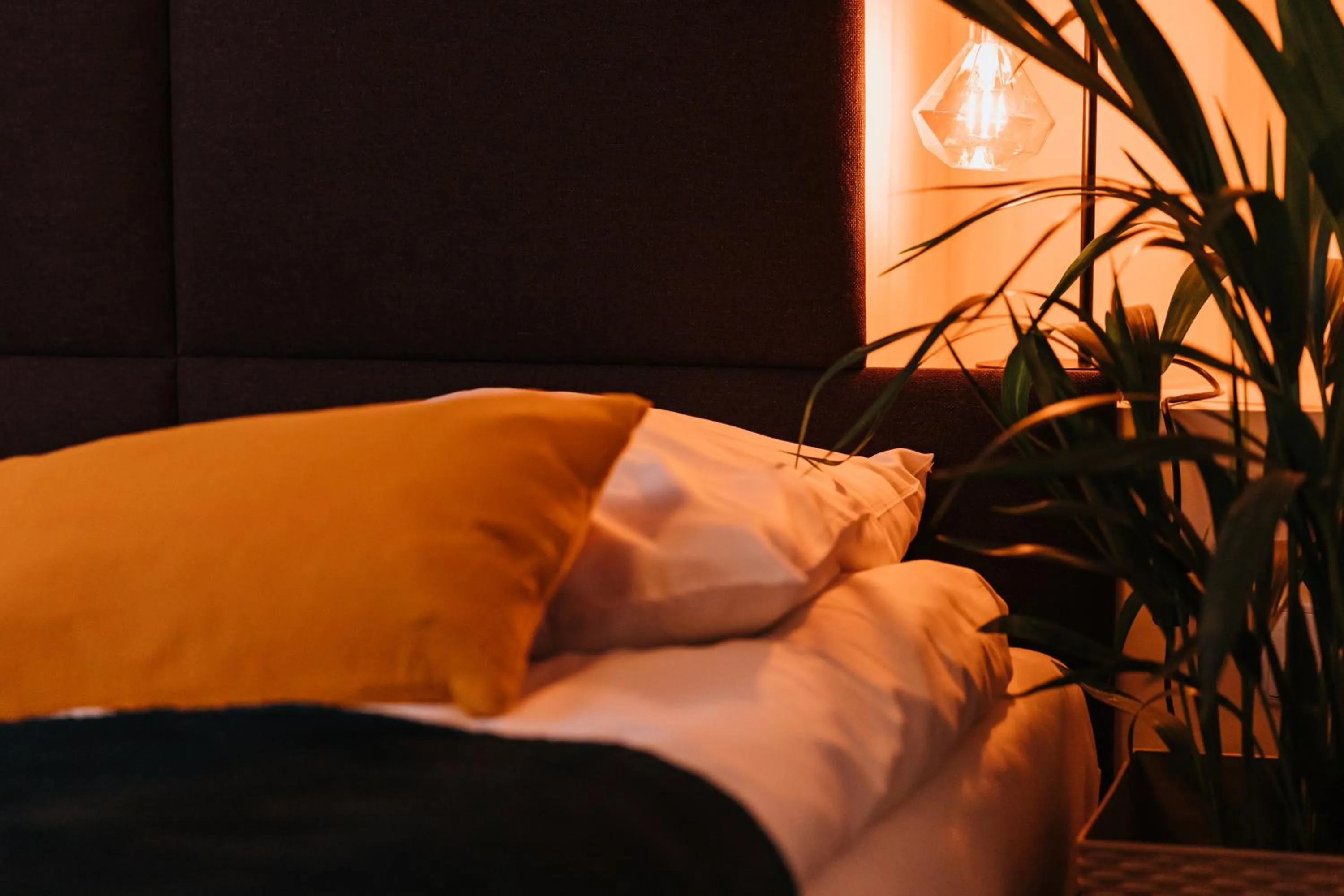 Bed in Kamieniczka Palladium