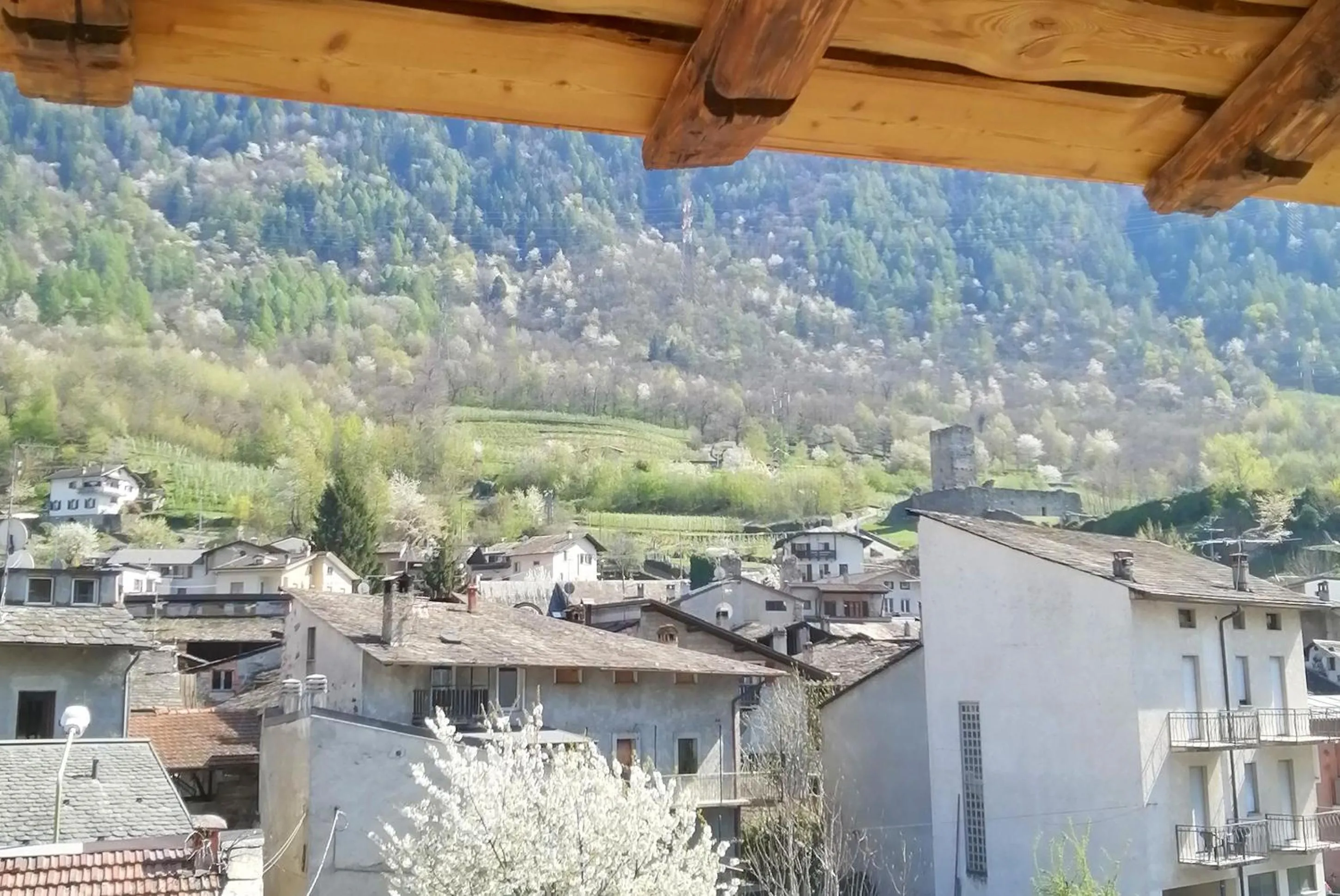 Mountain view in Curt di Clement Eco Mobility Hotel