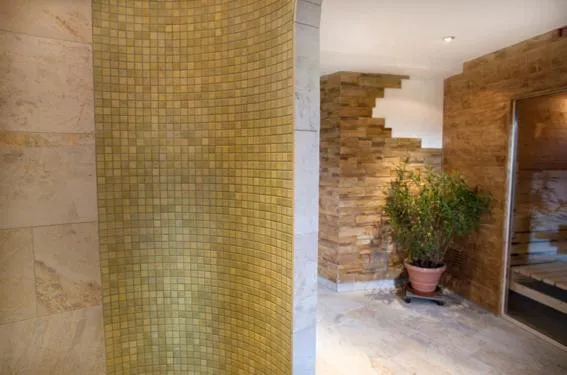 Spa and wellness centre/facilities in Haflingerhof