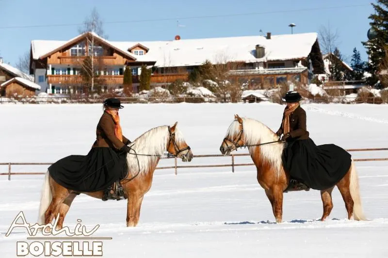 Logo/Certificate/Sign in Haflingerhof