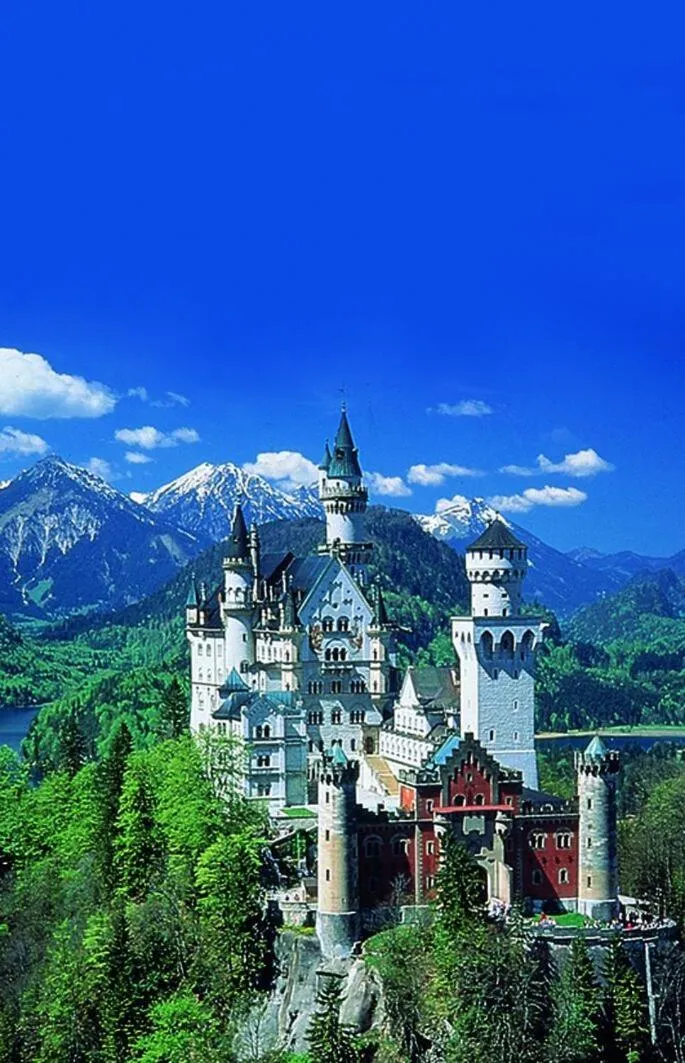 Area and facilities in Haflingerhof