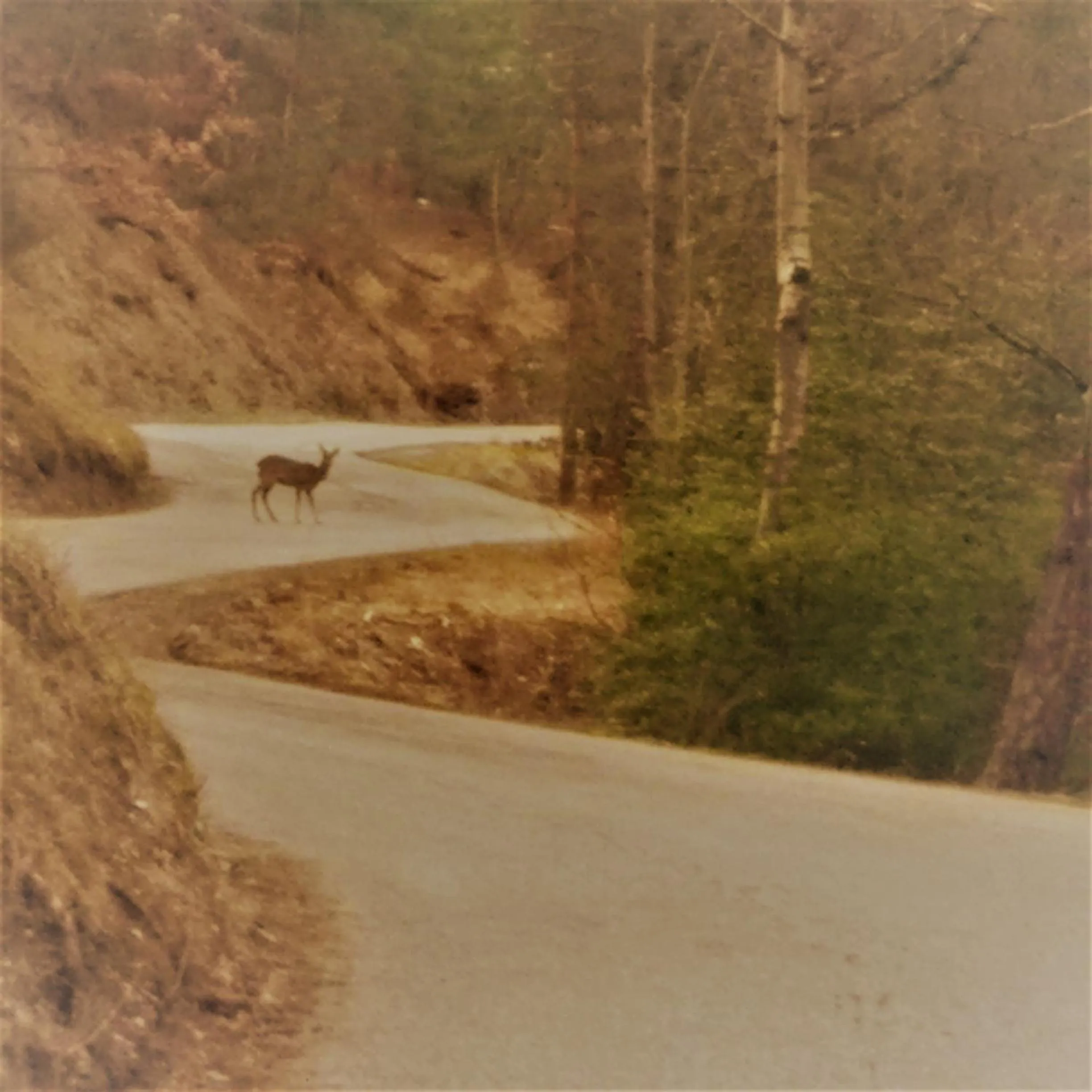 Natural landscape in Le Relais des Cavaliers