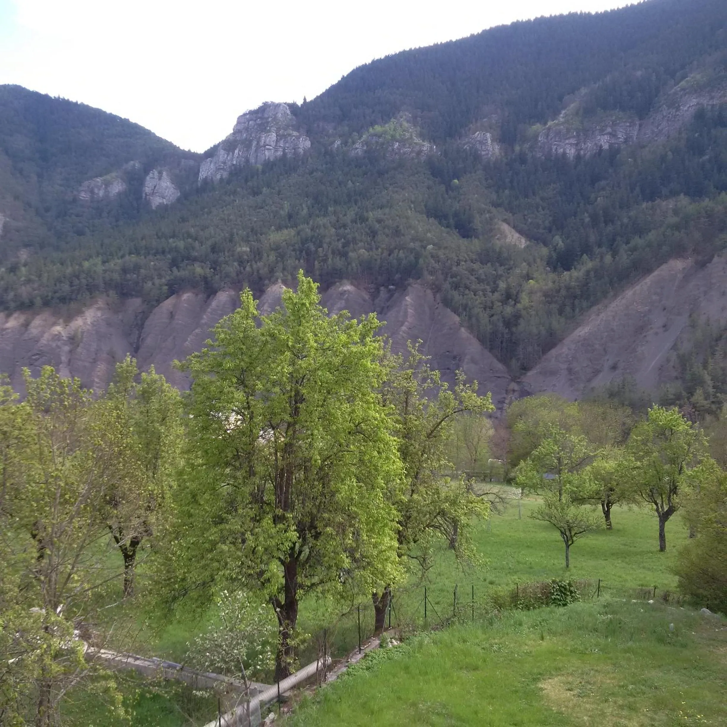 Garden view in Le Relais des Cavaliers