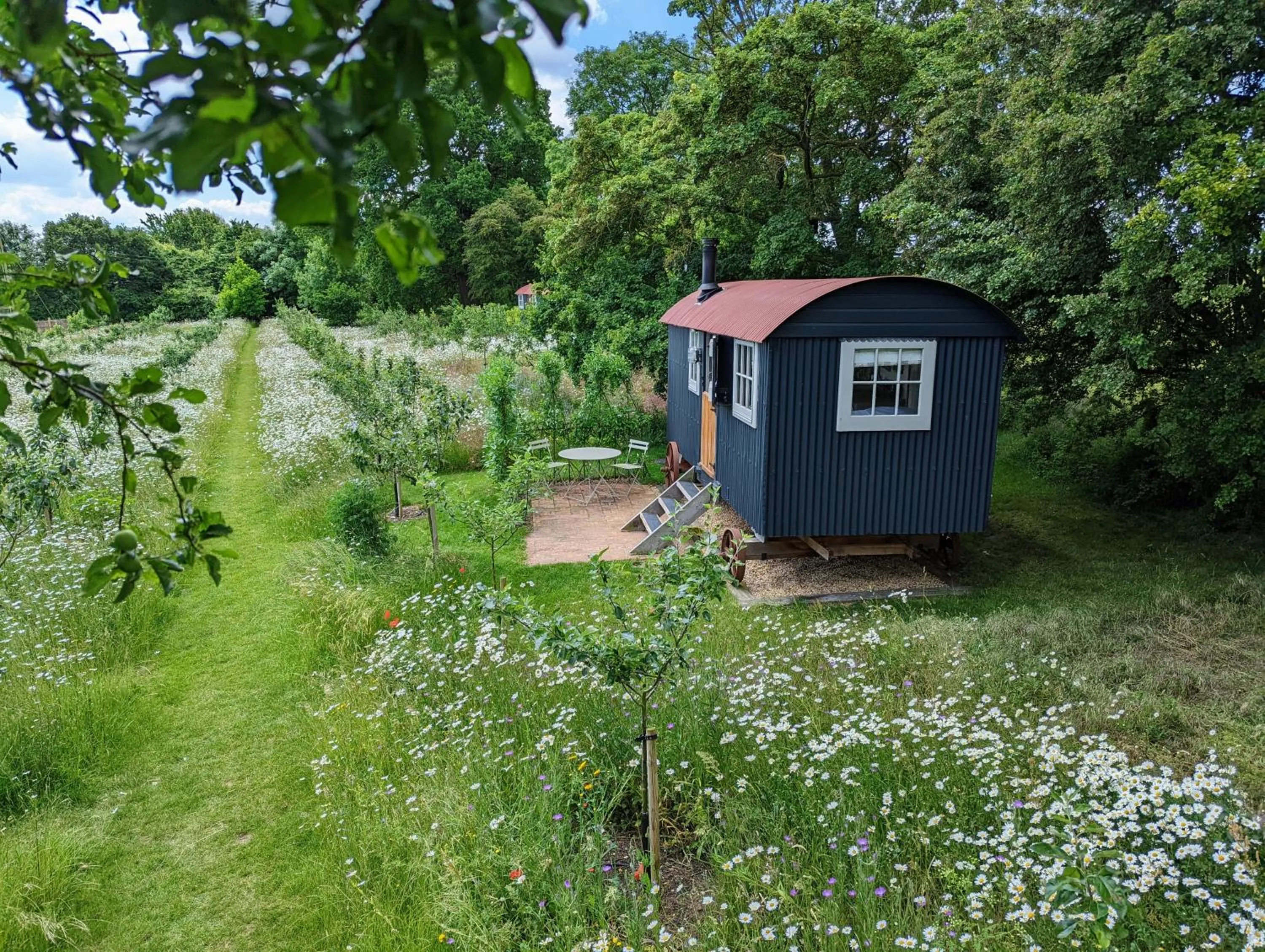 Wellbeing Orchard