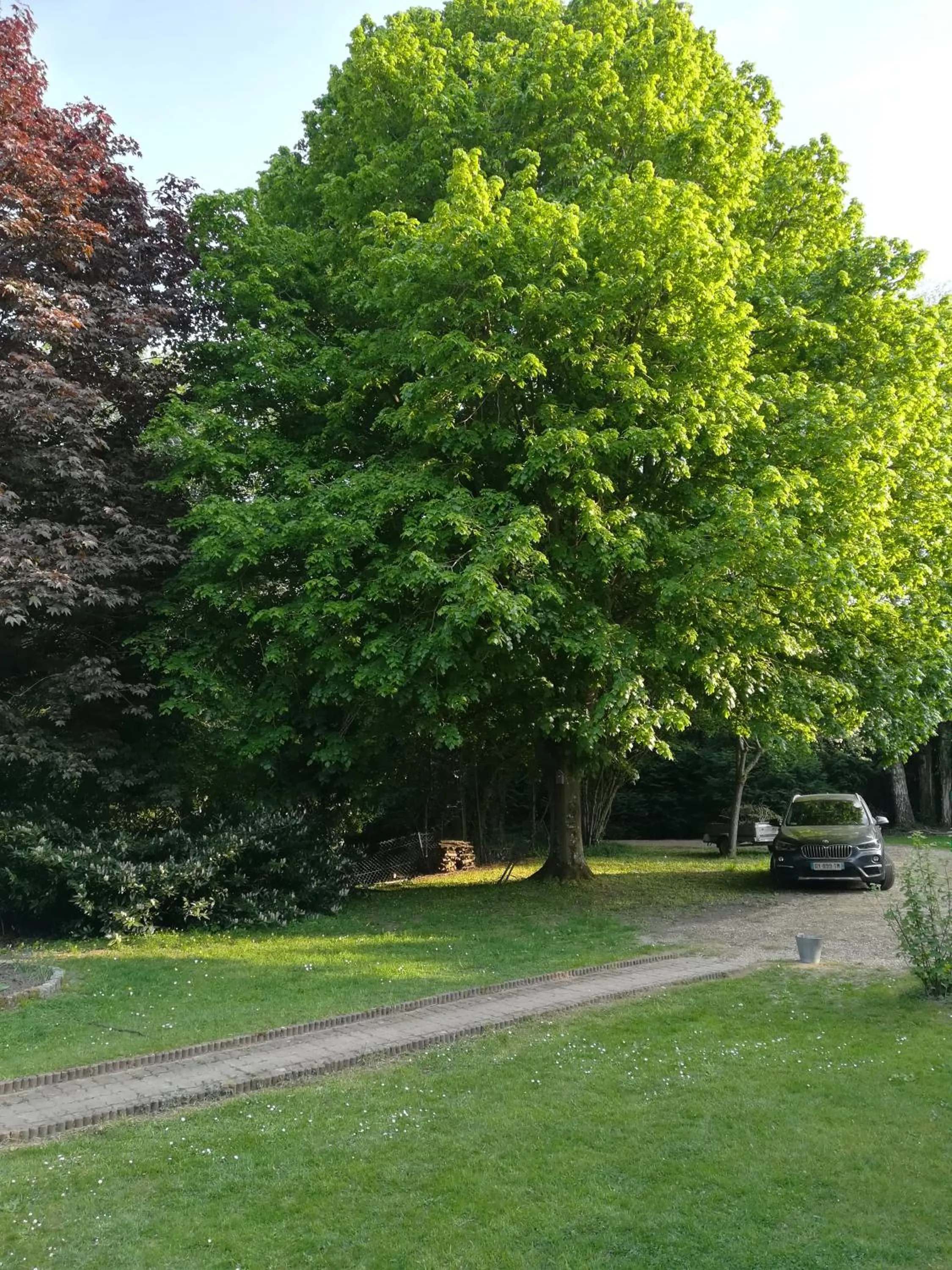 Garden in Lait & Lit