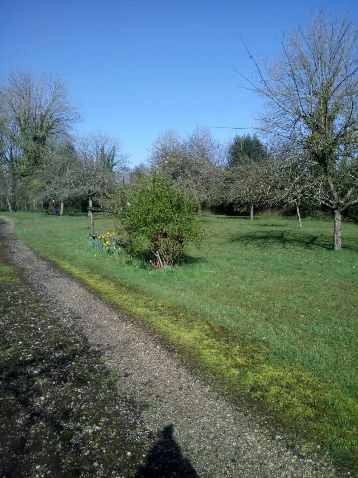 Garden in Lait & Lit