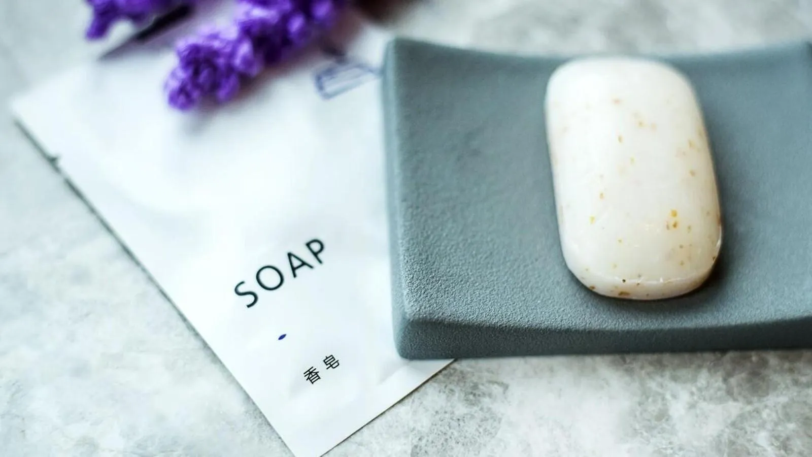 Lavande Hotel Zhongshan Shaxi