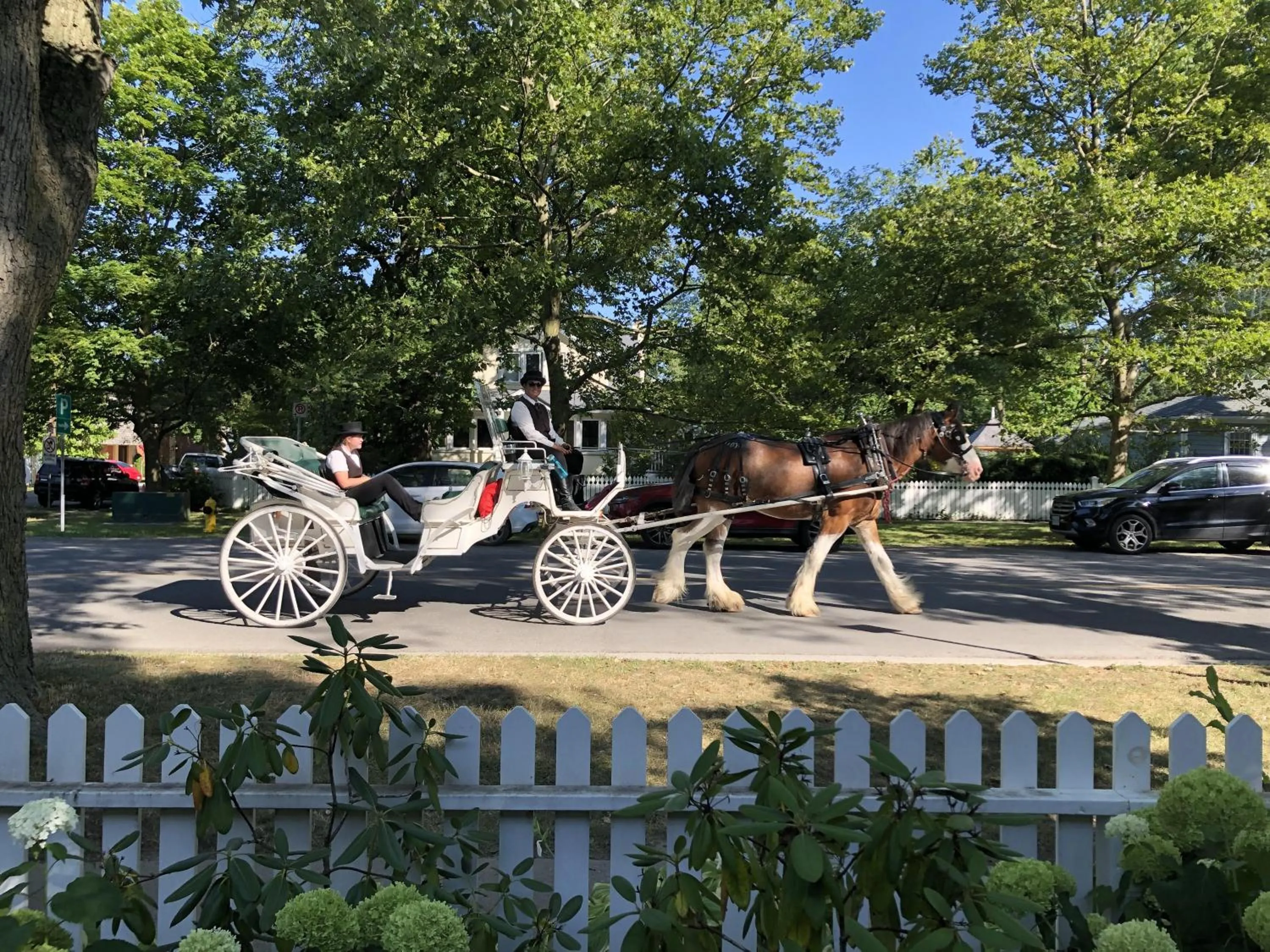 Garden in Harrogate House Inn