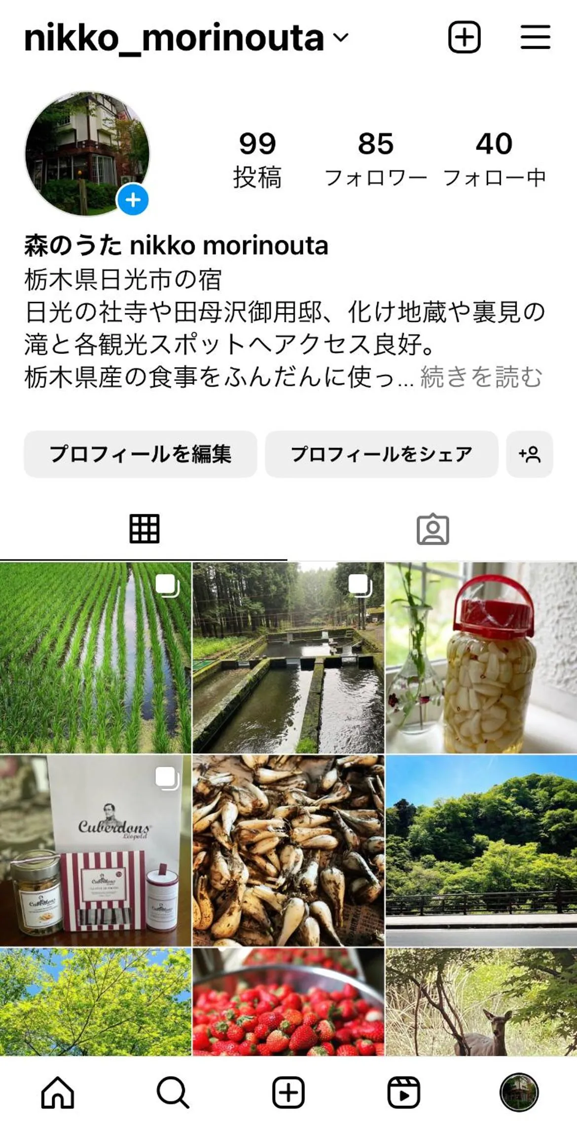 Property building in Morinouta