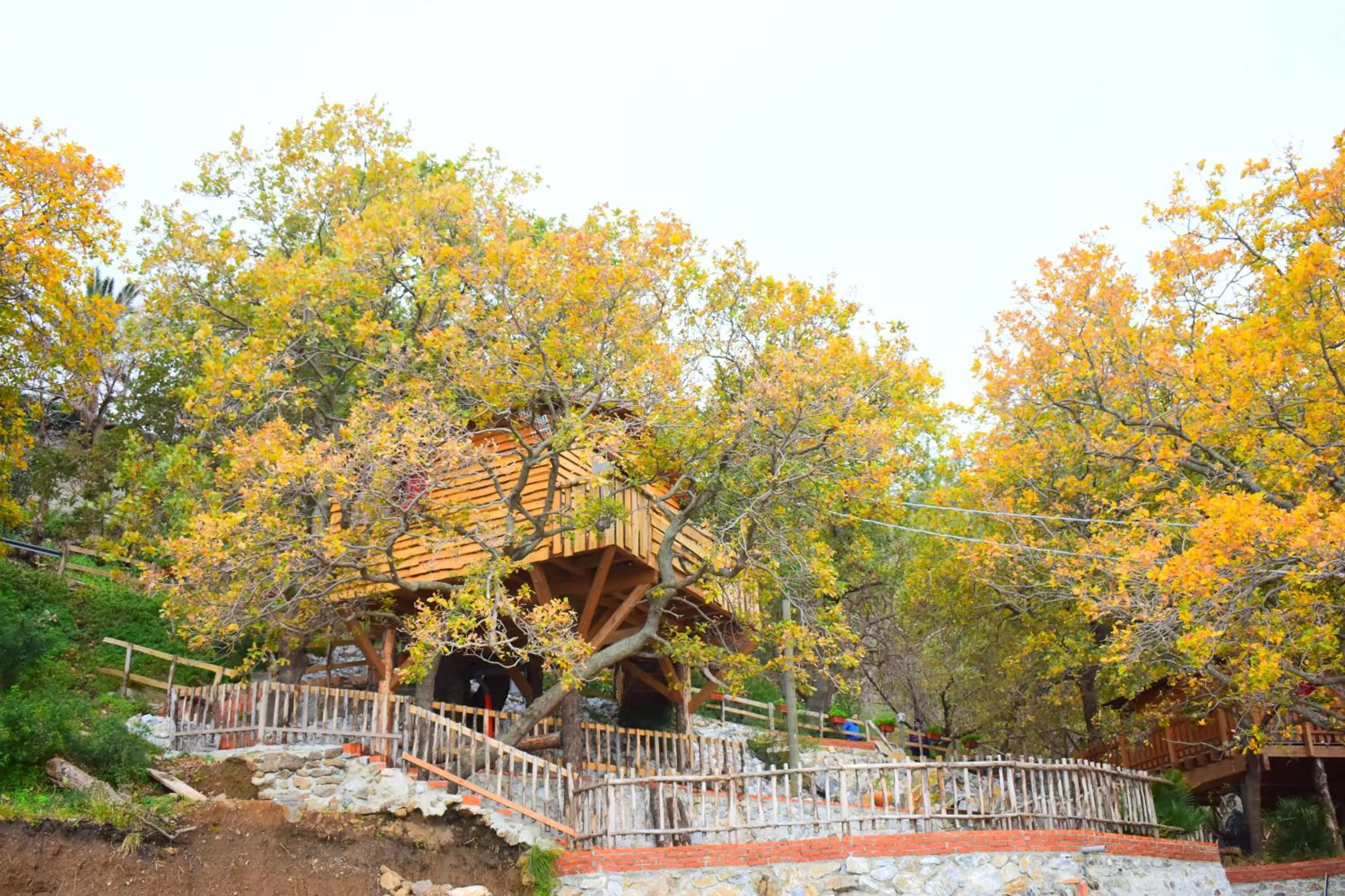 B & B Le Casette sull'albero di Villa Alba