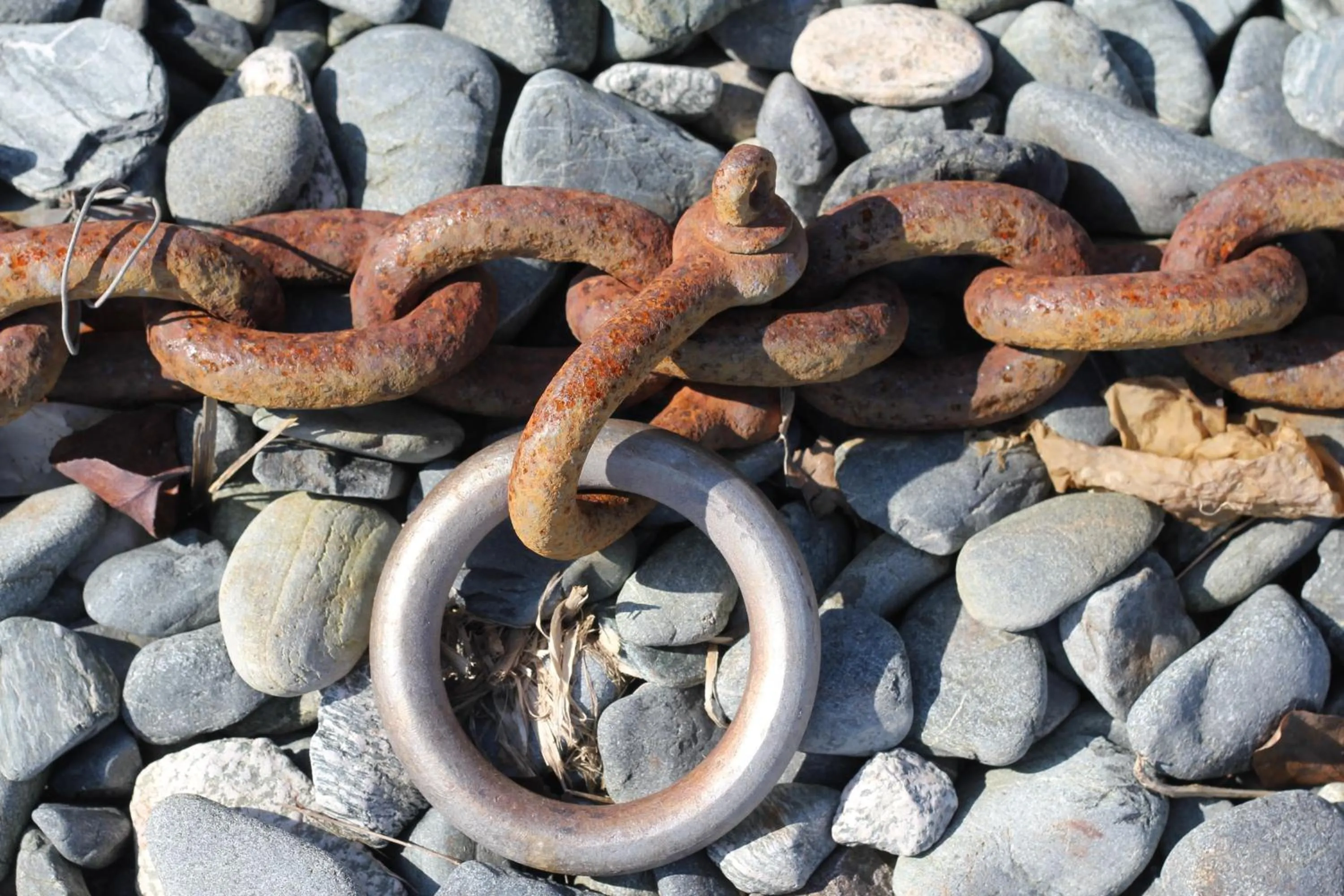 Other in The Five Pilchards Inn