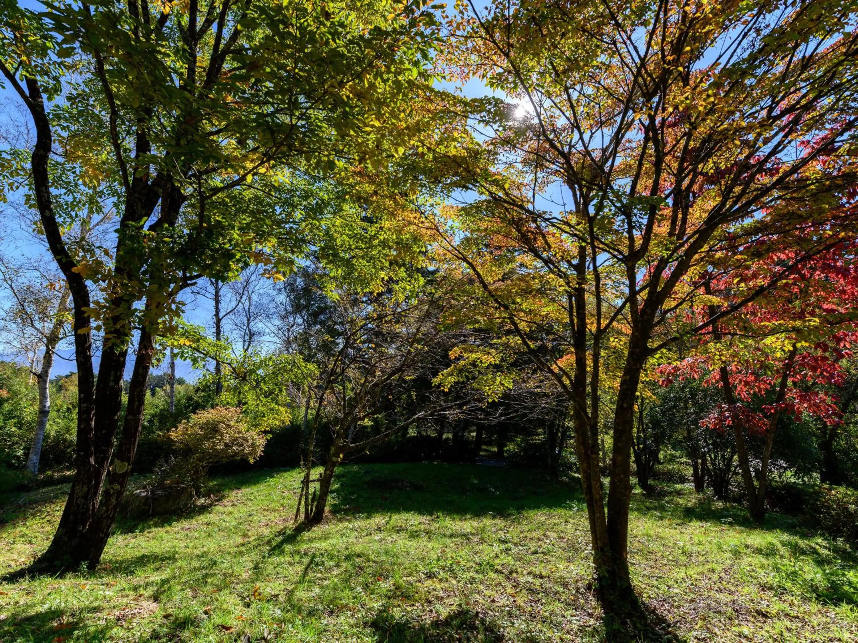 Off site in Suzuranso