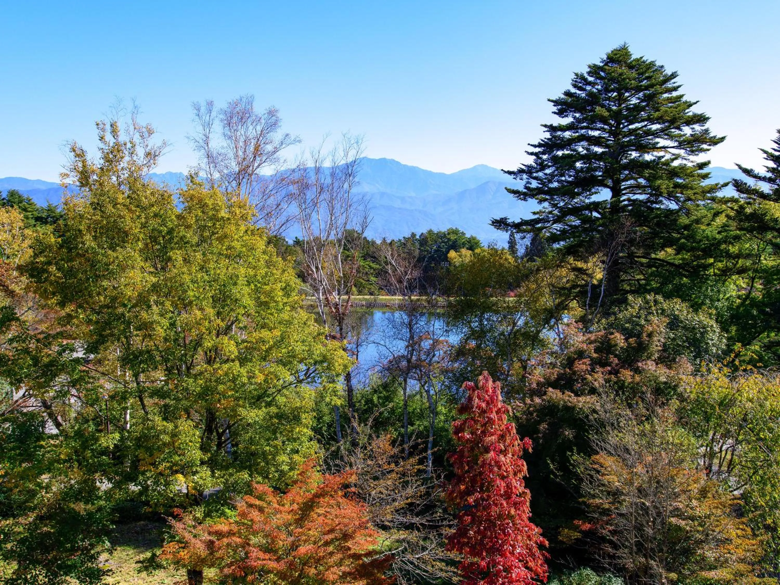 Day in Suzuranso