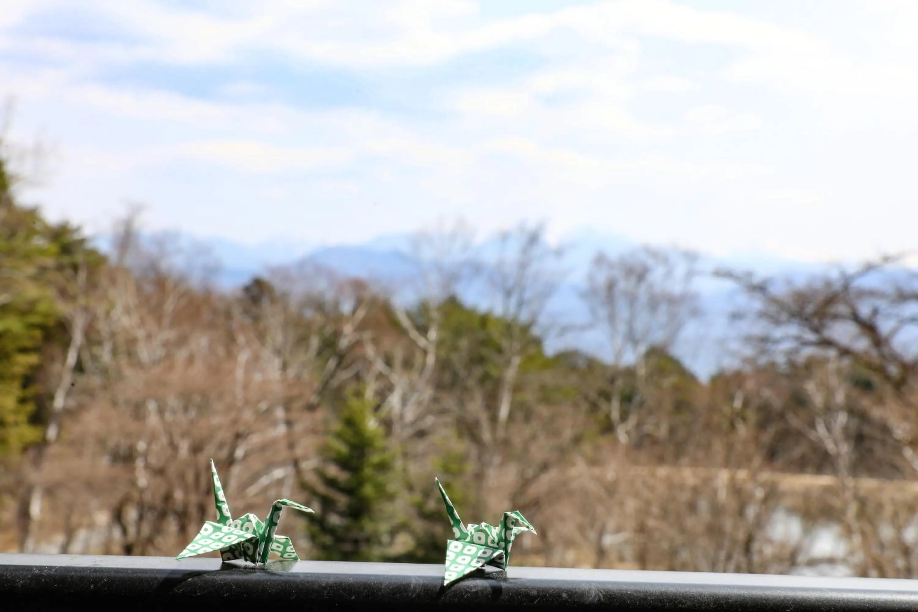 View (from property/room) in Suzuranso