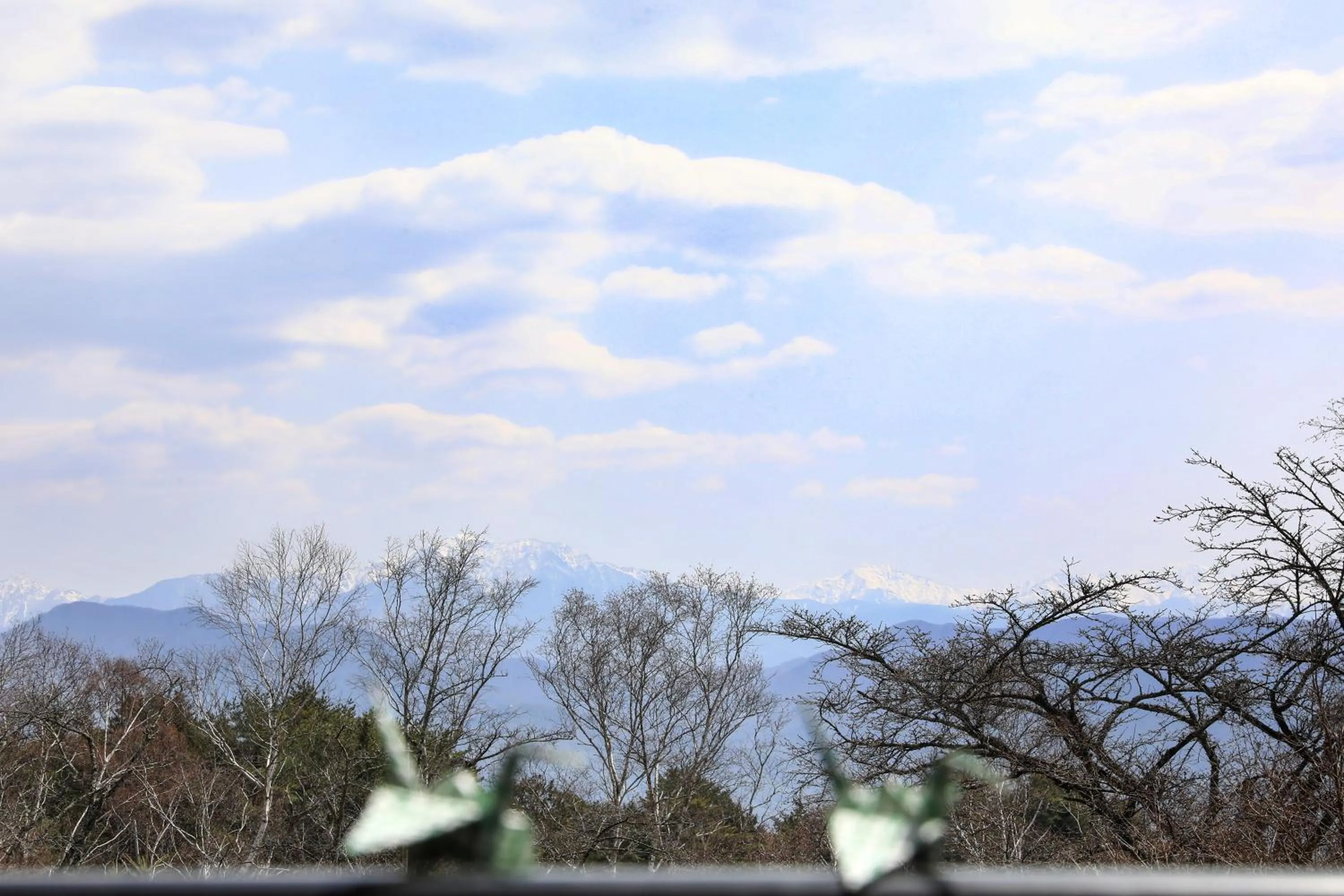 View (from property/room) in Suzuranso