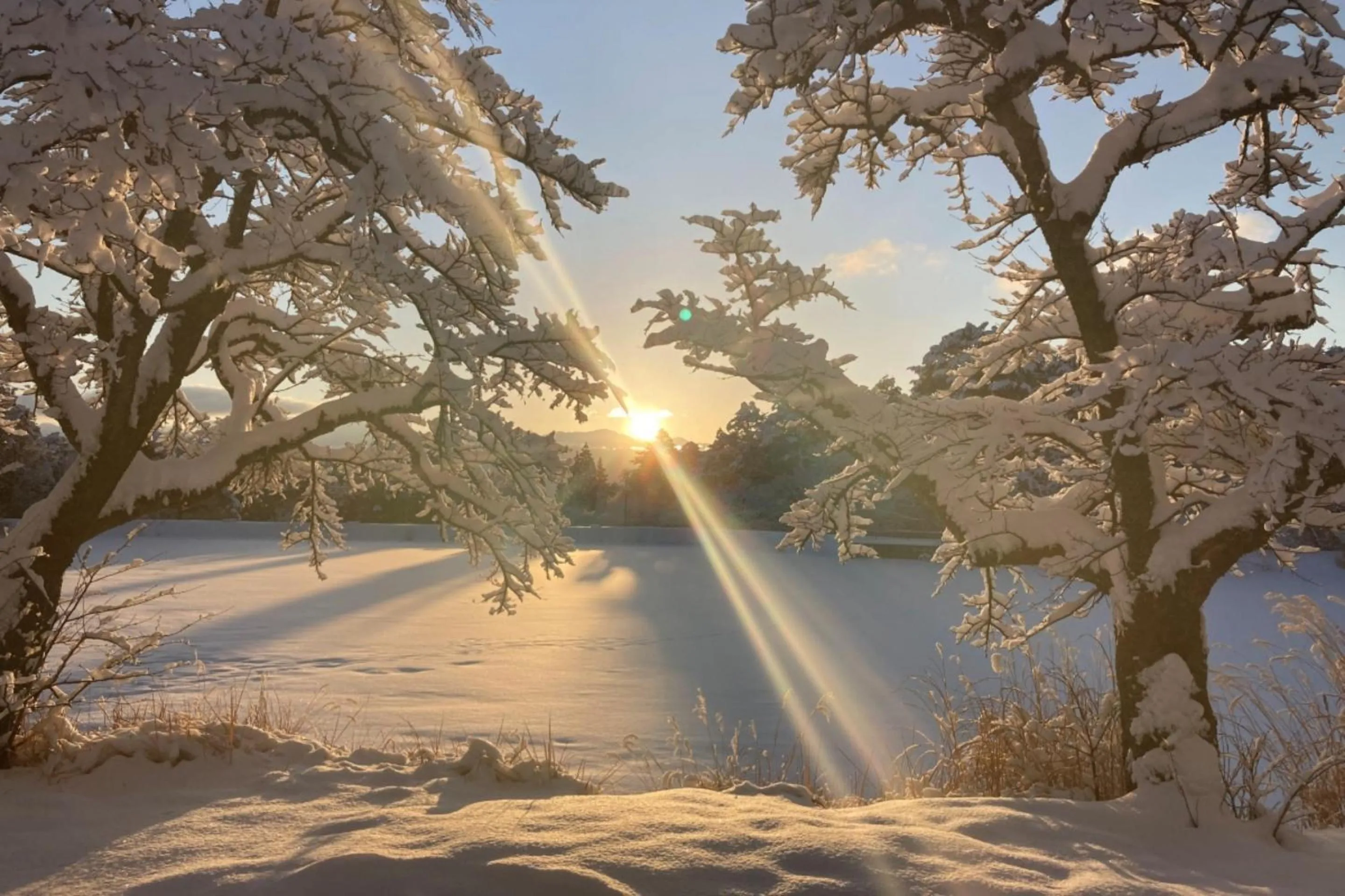 Off site in Suzuranso