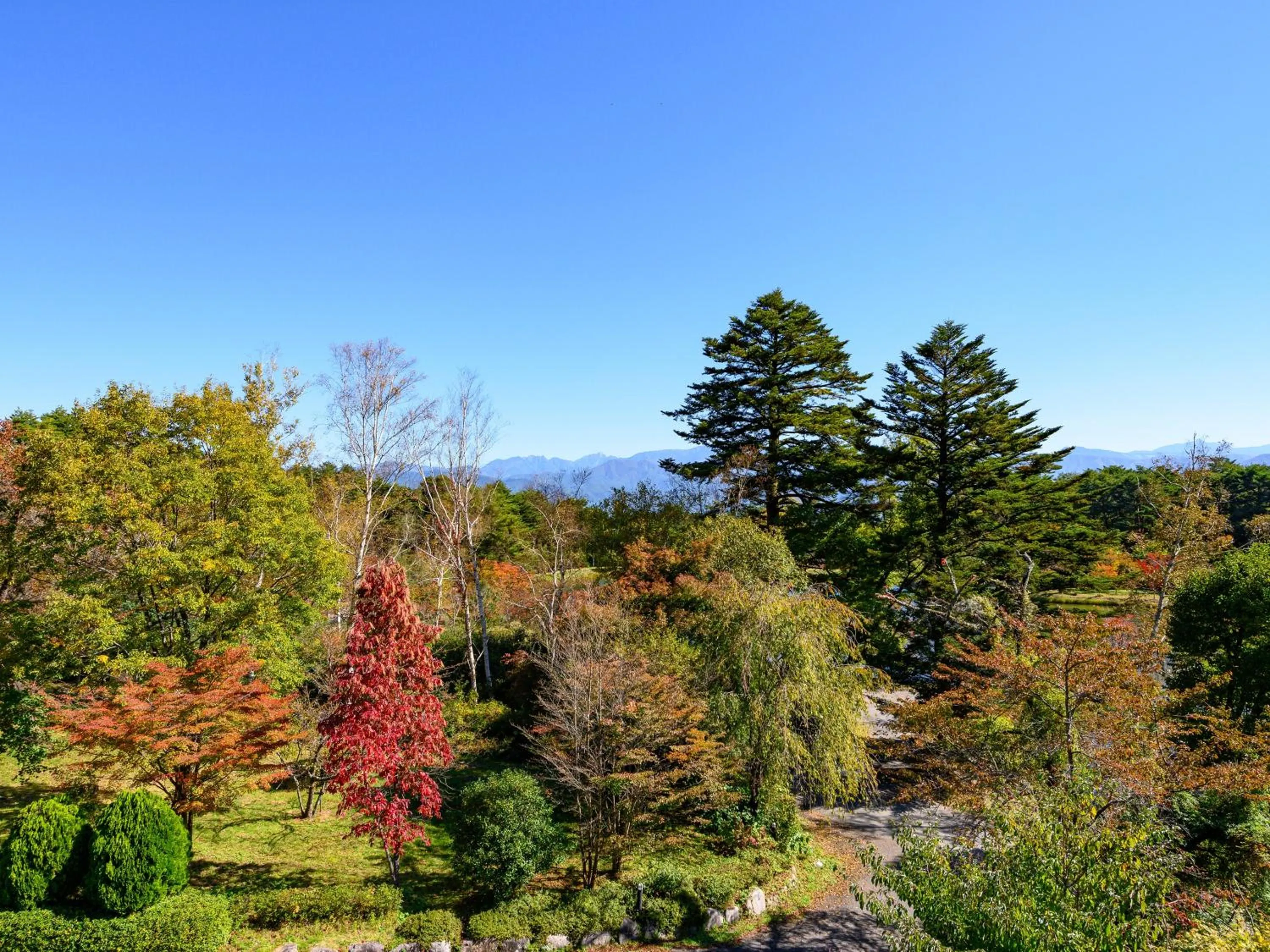 Day in Suzuranso