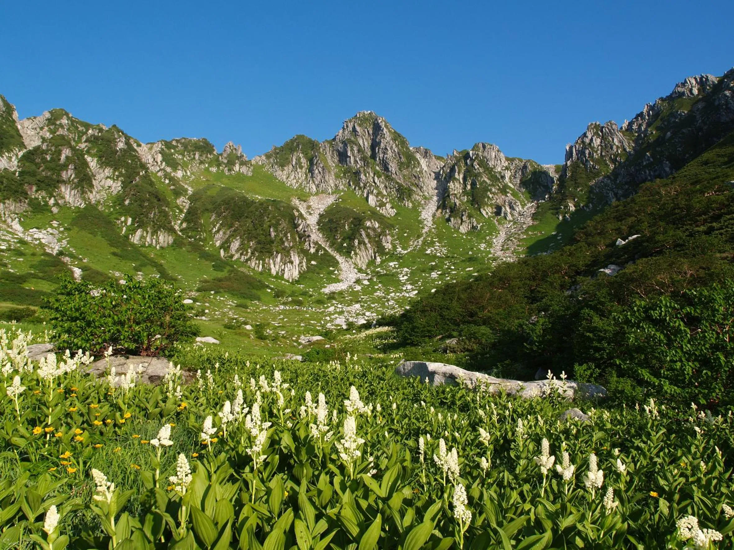 Natural landscape in Suzuranso