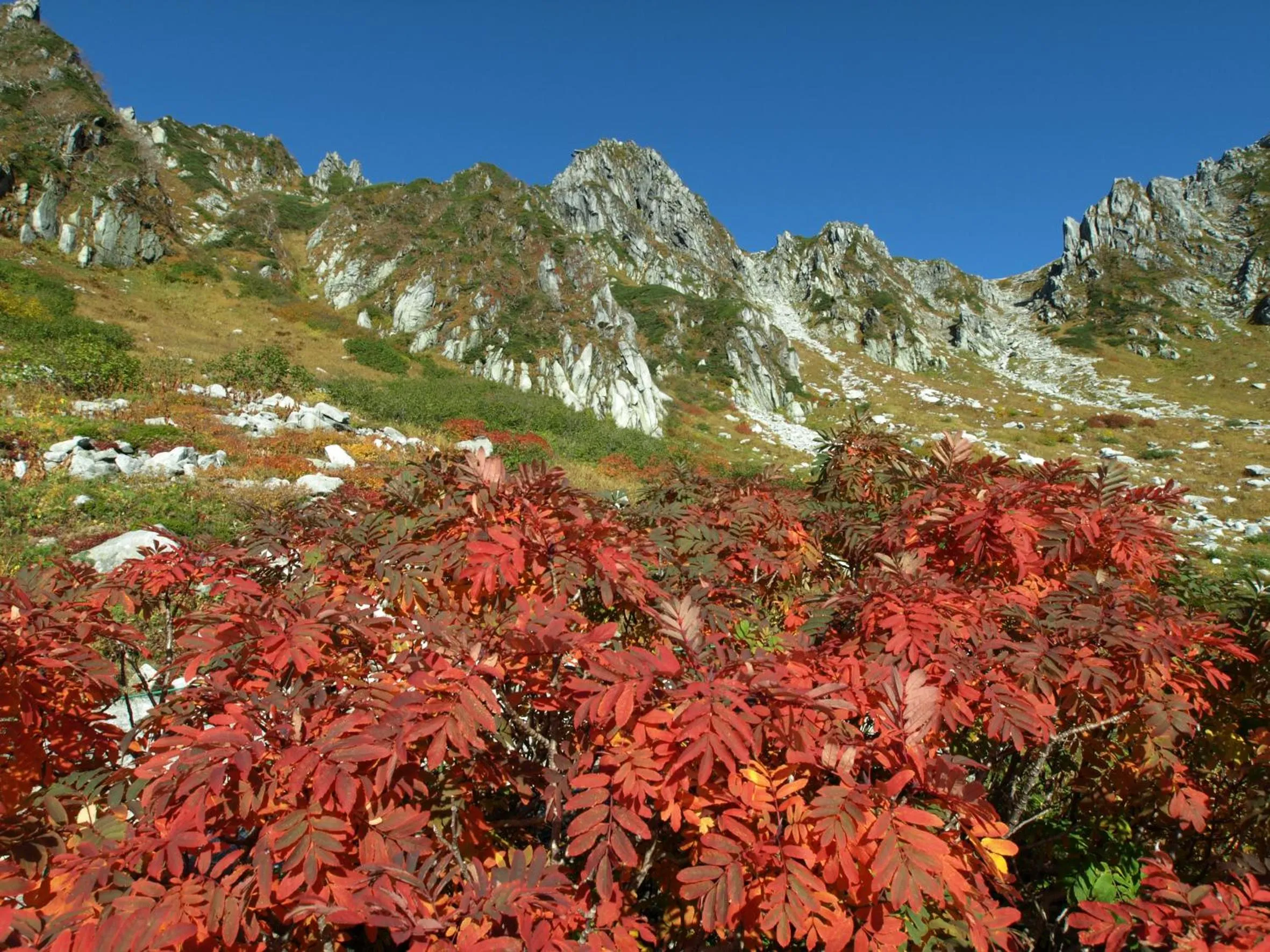 Natural landscape in Suzuranso